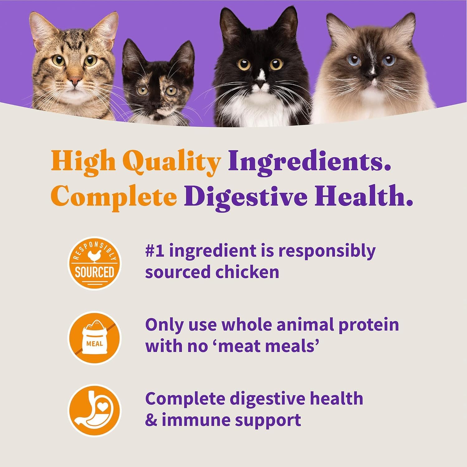 Halo Holistic Cage Free Chicken Cat Food, Healthy Grains Dry Cat Food, Complete Digestive Health, Kibble for Adult Cats, 10 lb B