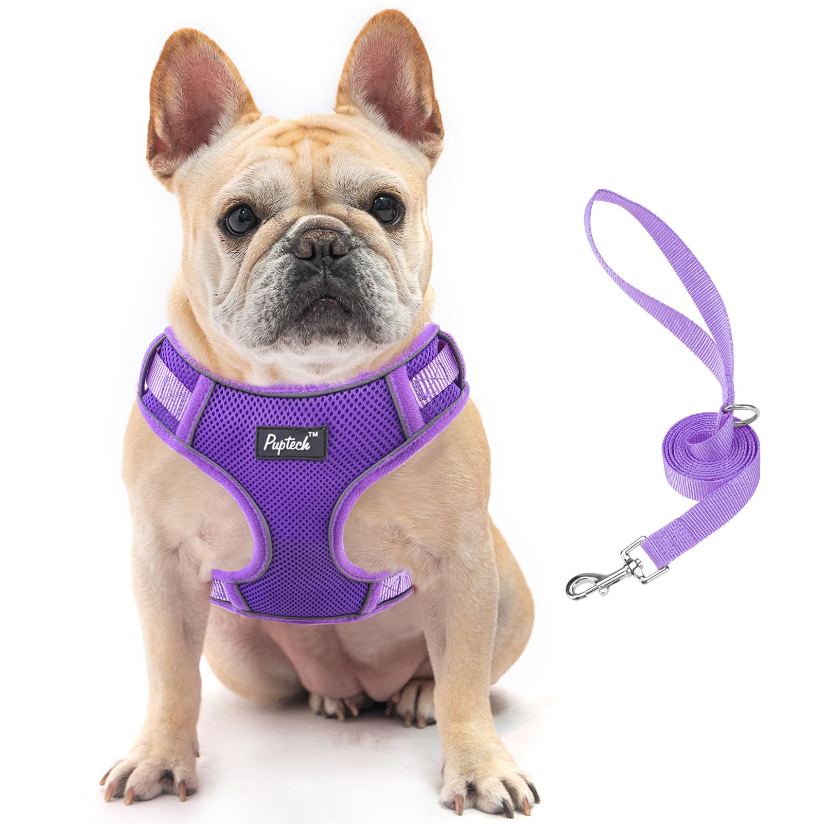 Pupteck Dog Harness And Leash Set For Small Medium Dogs No Pull, Soft Mesh Adjustable Puppy Cat Harness Reflective At Night, Pur