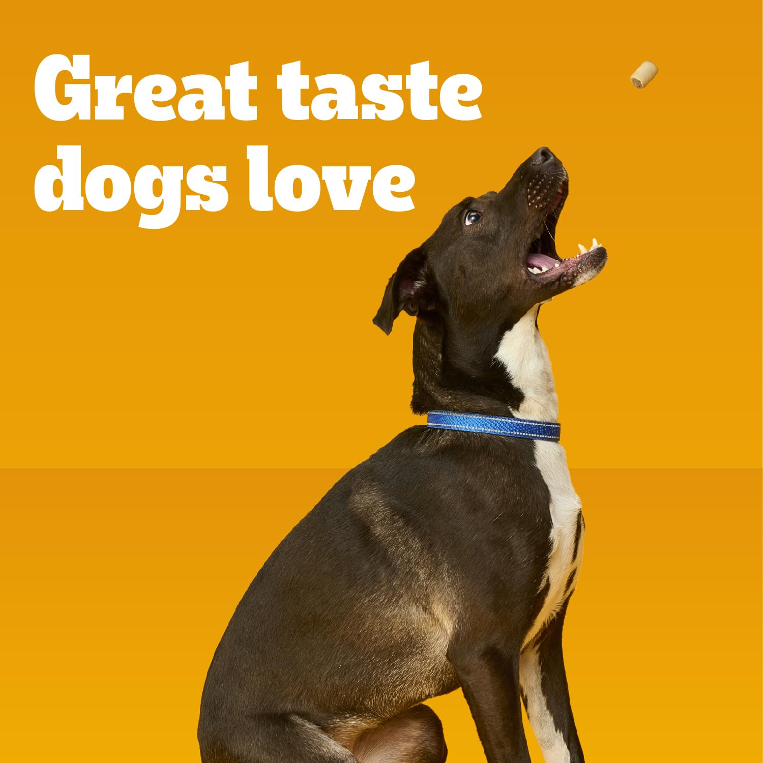 PEDIGREE MARROBONE Dog Treats Real Beef Flavor Crunchy Dog Biscuit, 6 lb. Pack