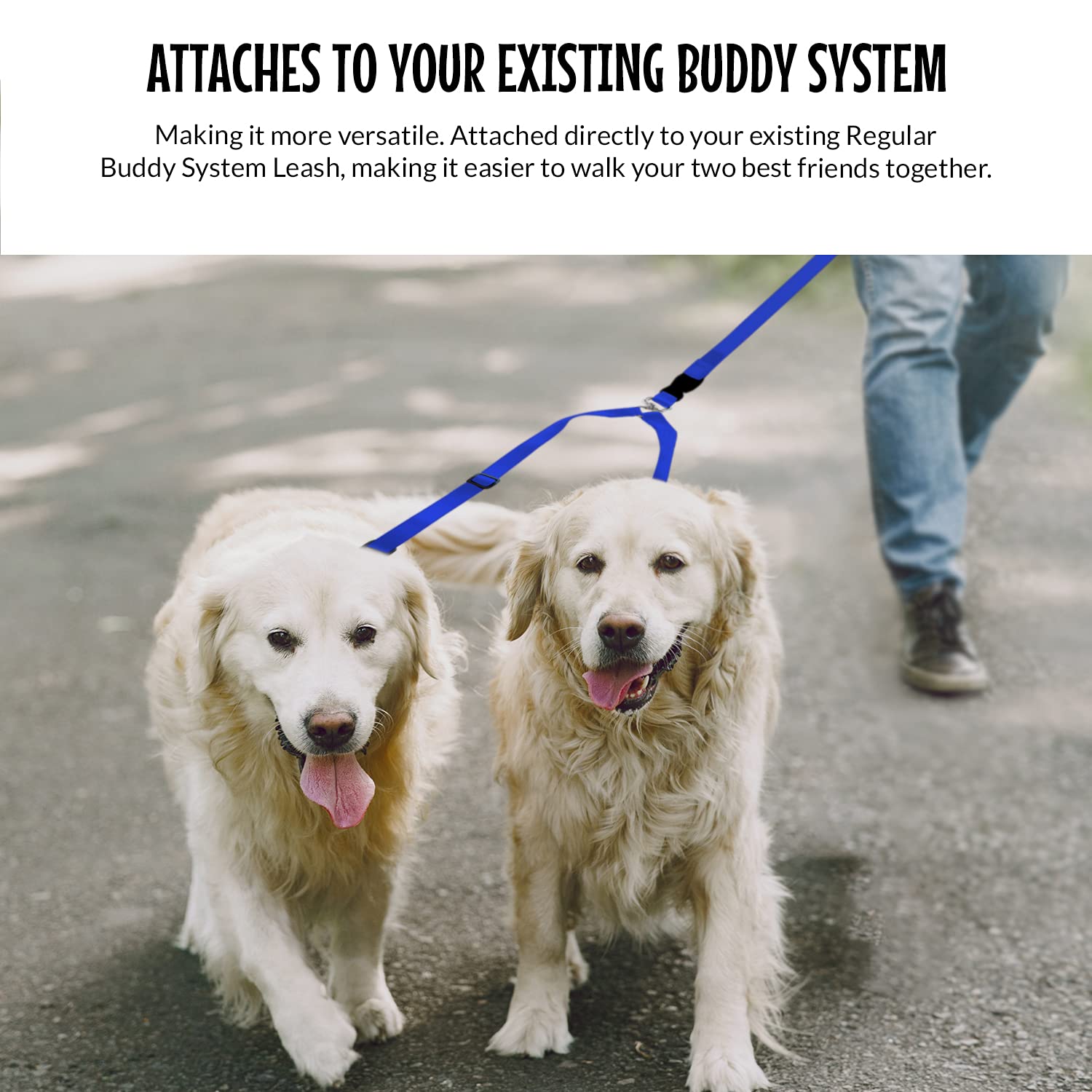 The Buddy System Accessories For Our Dog Leashes Made In Usa (Double Buddy, Regular Dog Blue)