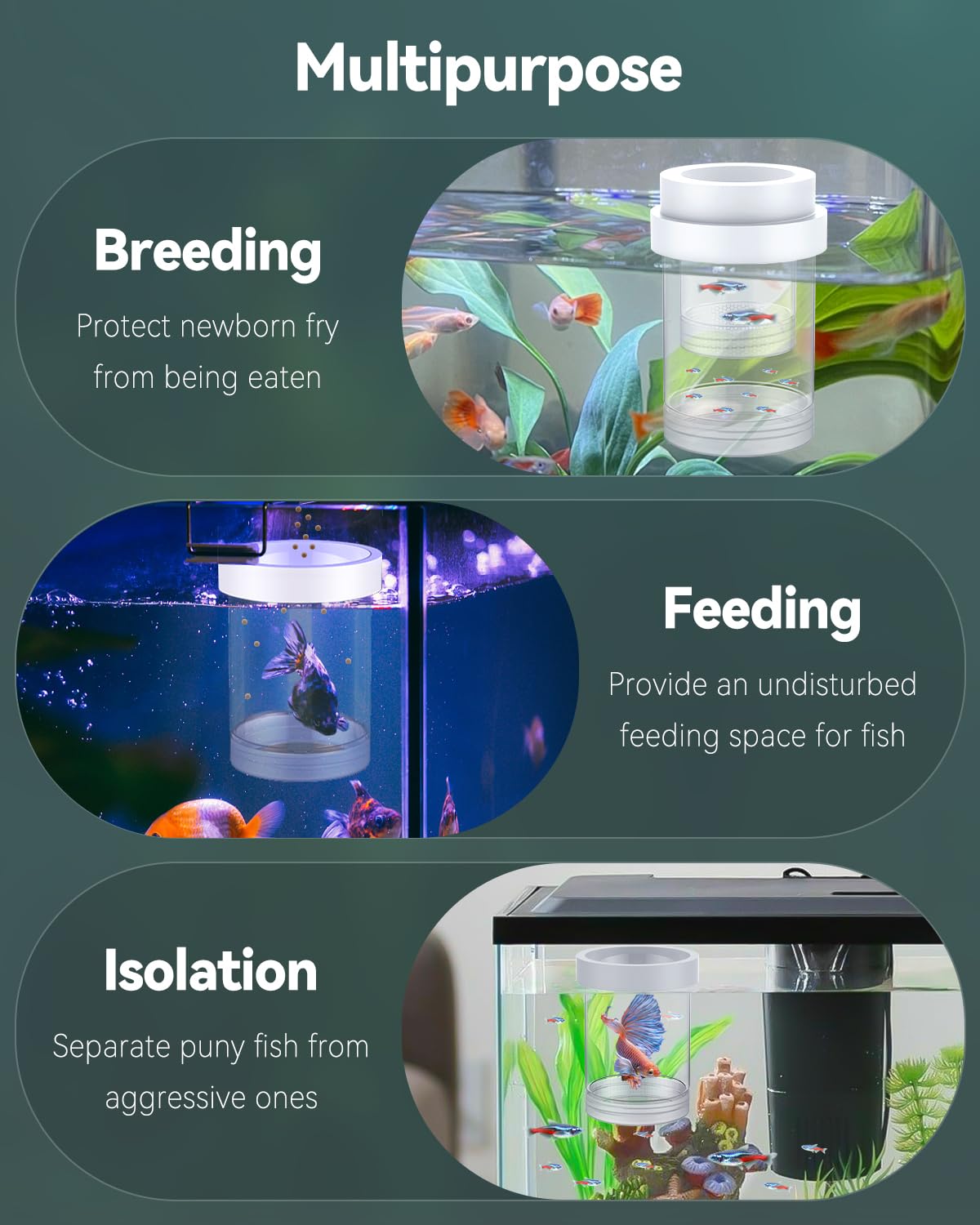 Pawfly Breeder Box For Fish Tank, Aquarium Fish Breeding Box, Floating Guppy Breeder Box, Baby Fish Separator For Aquarium, Plas
