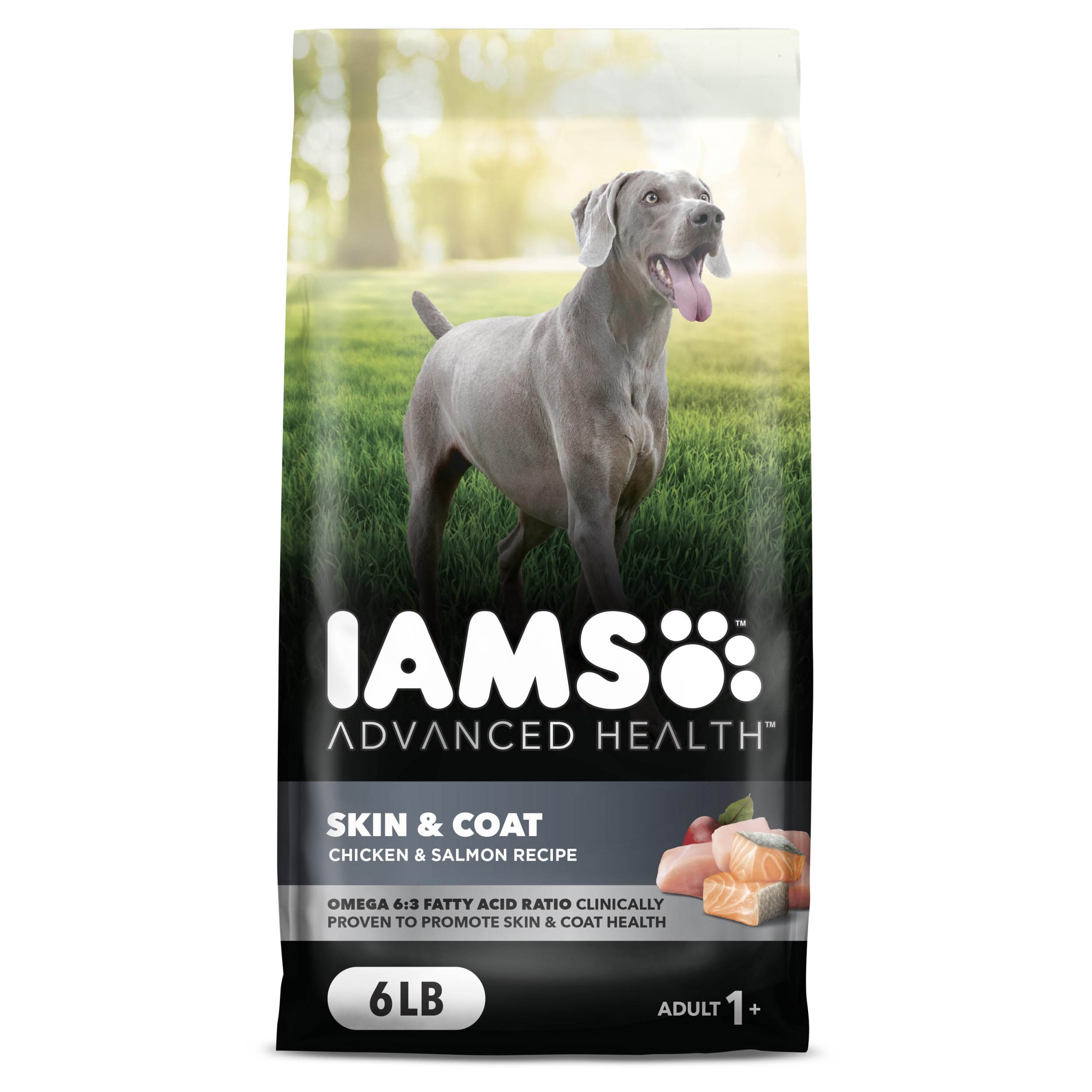 IAMS Advanced Health Skin & Coat Adult Dry Dog Food Chicken and Salmon Recipe, 6 lb. Bag