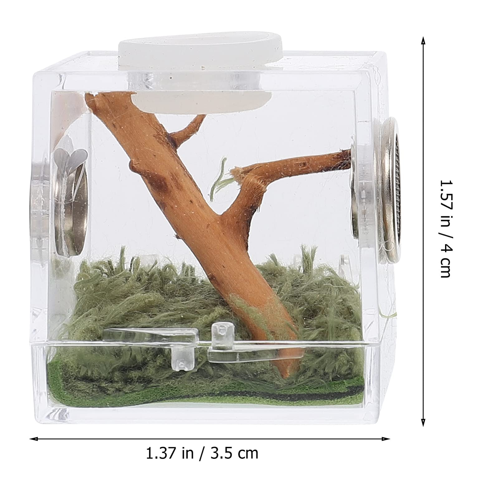 2Set Spider Habitat Box Small Transparent Breeding Enclosure For Jumping Spiders And Reptiles Lightweight Design For Easy Outdoo