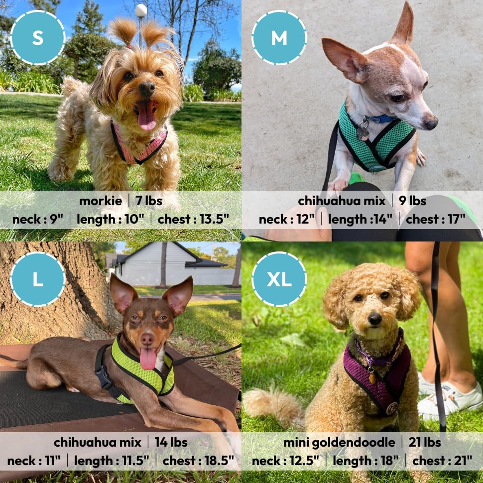 Gooby Comfort X Head In Harness - Turquoise, X-Large - No Pull Small Dog Harness, Patented Choke-Free X Frame - On The Go Dog Harness For Medium Dogs No Pull, Small Dogs For Indoor And Outdoor Use