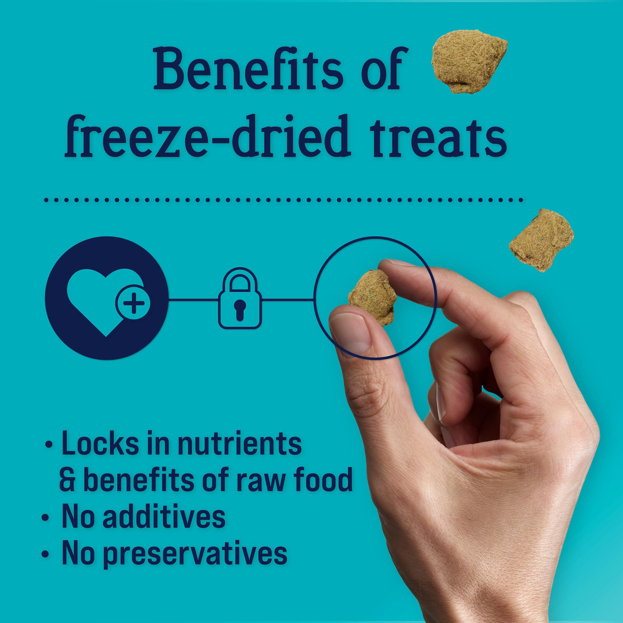 Stewart Zen Freeze Dried Beef and Pumpkin Treats with Passionflower