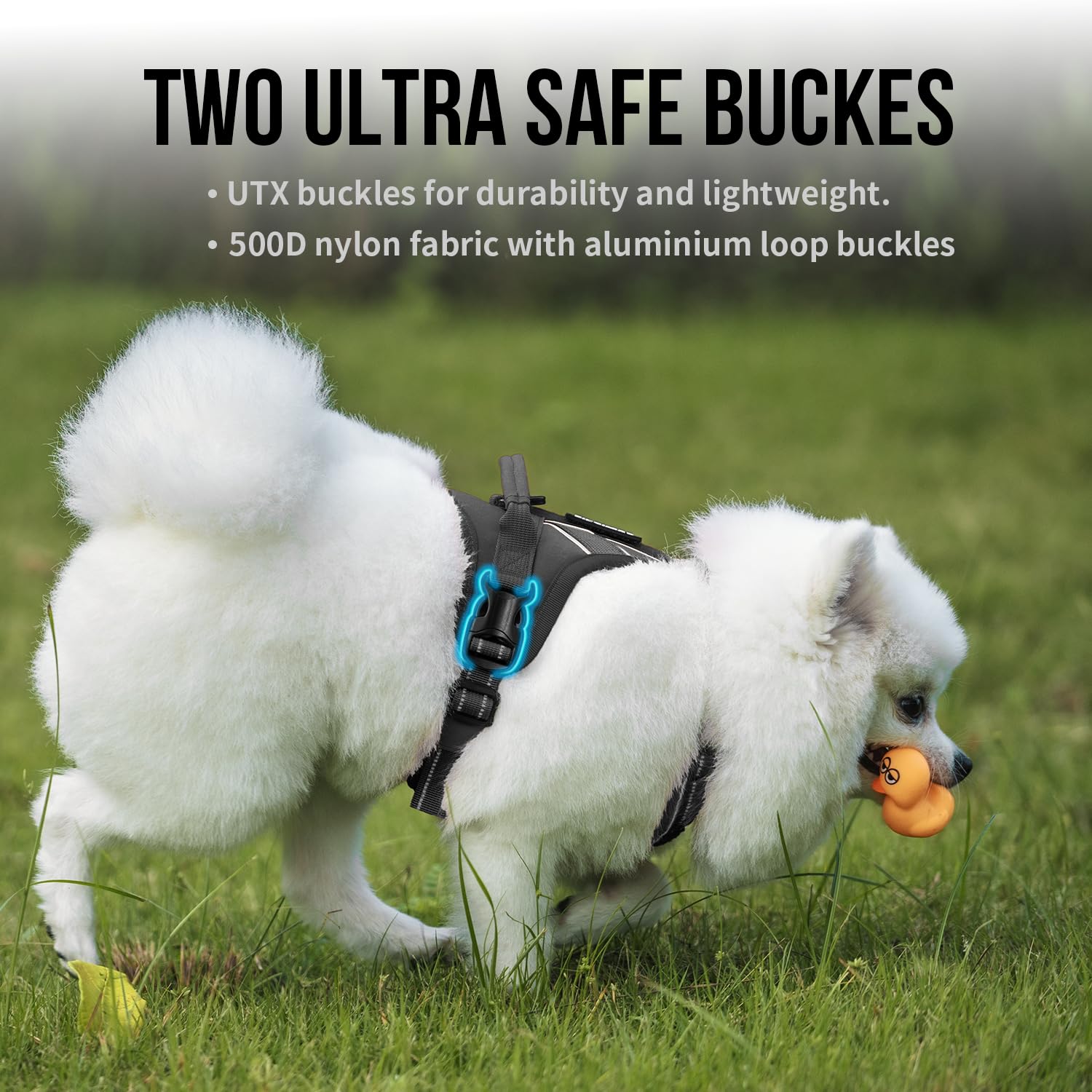 Onetigris Dog Harness For Small Medium Dogs No Pull, Puppy Harness And Leash Set, Easy Walk Dog Harness For Walking, Running, Tr
