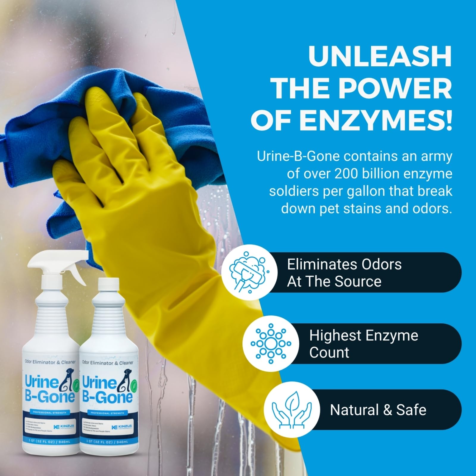 Urine-B-Gone Professional Urine Enzyme Odor Eliminator, 2-Pack, 50 Billion Enzymes, Concentrated Formula, Quarts