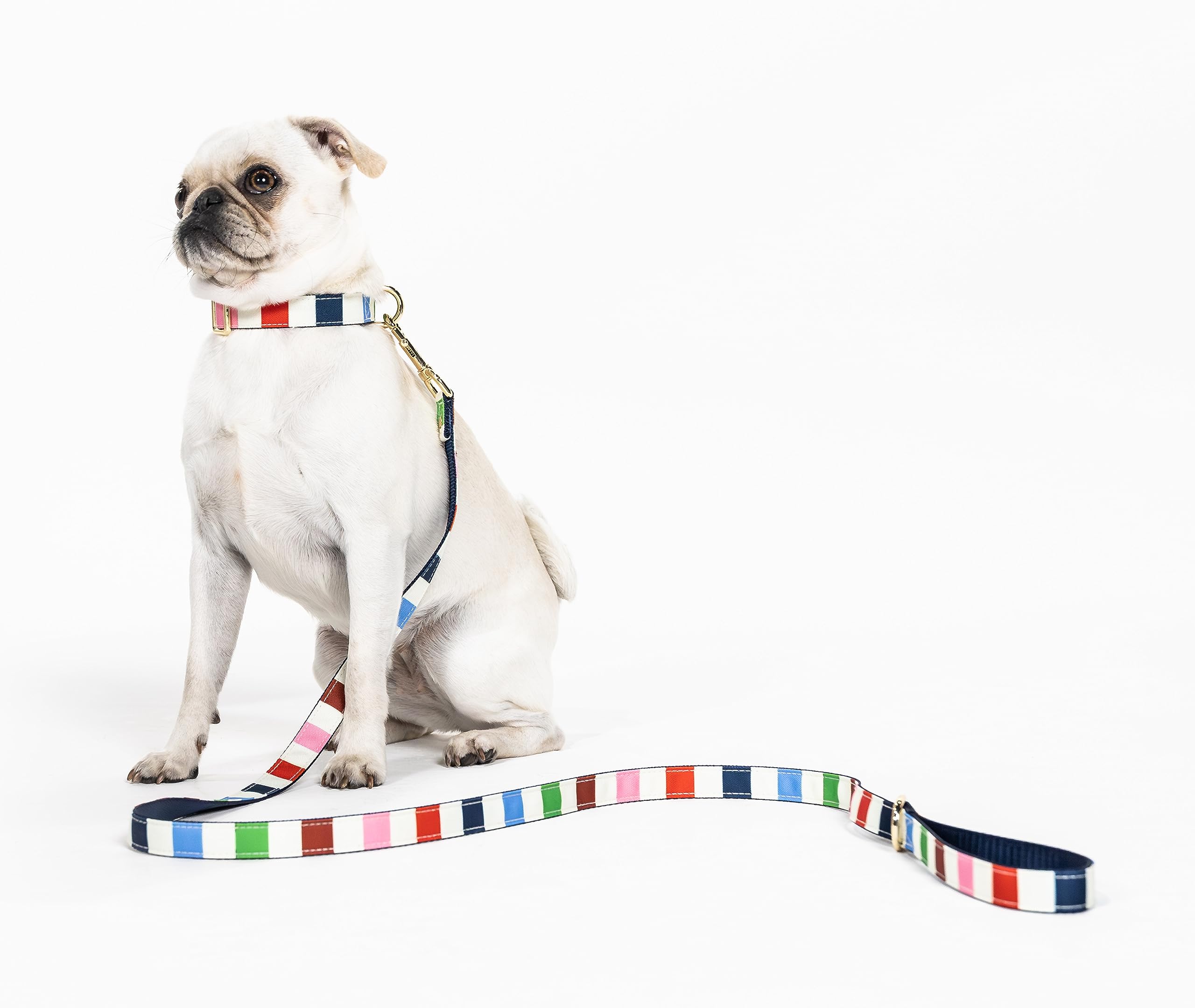 Kate Spade New York Cute Dog Collar With Gold Metal Details & Plastic Buckle, 10.5    To 13.5    Adjustable Dog Collar For Femal