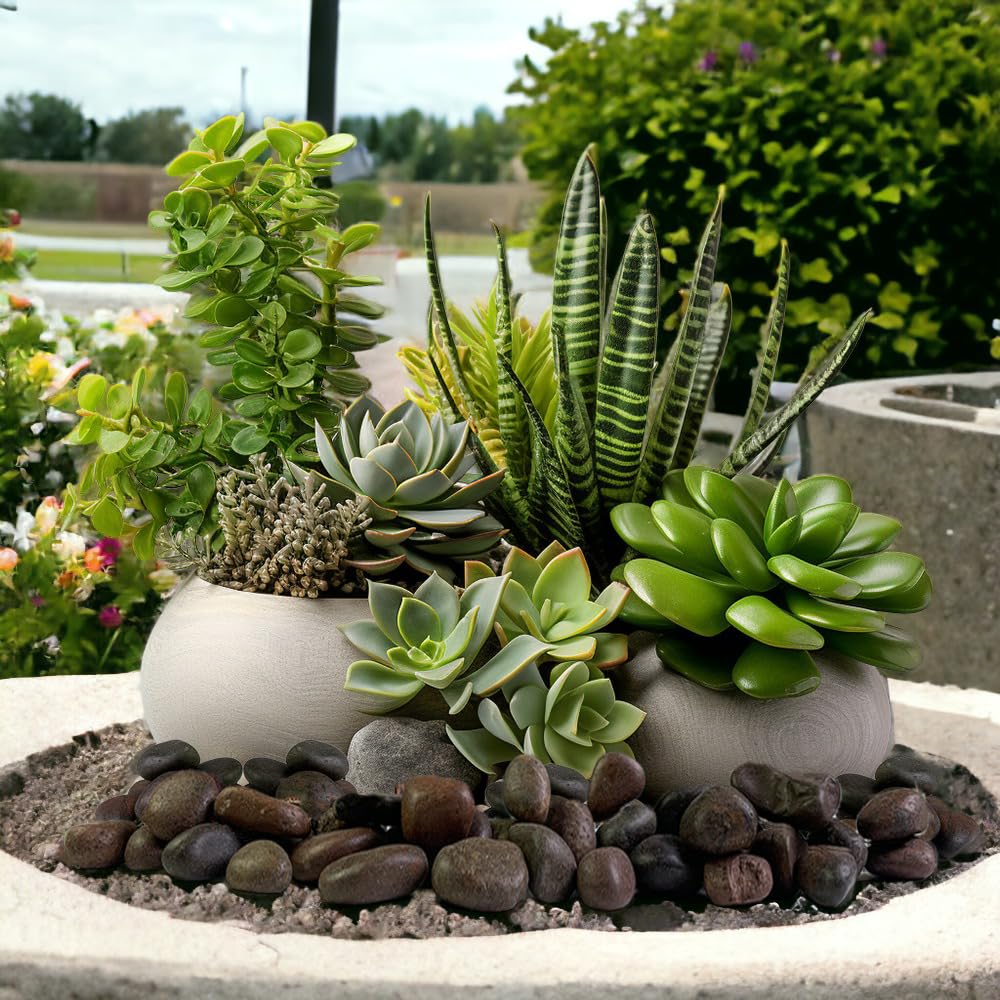 HappyFiller Natural Decorative Red Pebbles Polished Gravel Rocks Stones for Aquarium,Fish Turtle Tank,Outdoor Indoor Plants Top