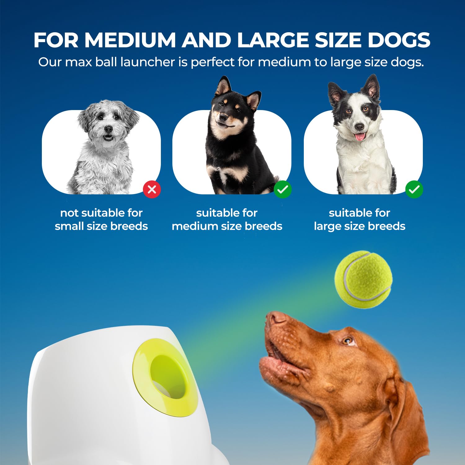 All For Paws Automatic Dog Ball Launcher For Medium To Large Dogs, Interactive Dog Ball Thrower Mental Stimulation Dog Toys, Dog