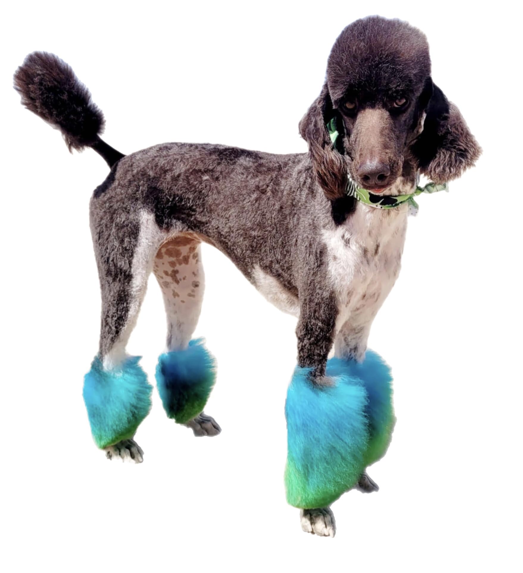 Crazy Liberty Permanent Hair Dye For Dogs And Horses, 4 Oz Tube. (Caribbean Blue)