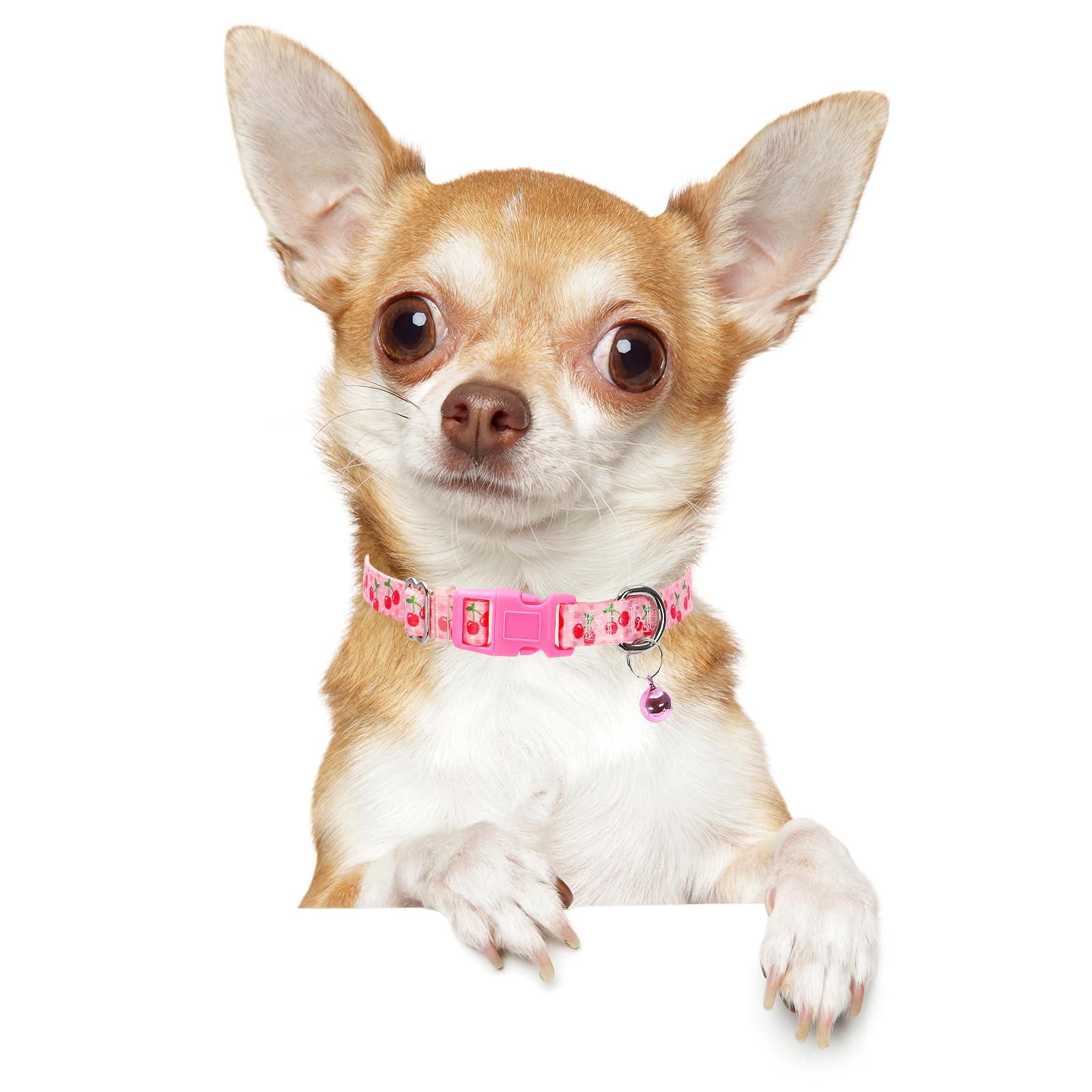 Small Dog Collar With Bell - Durable Nylon Collar For Small Breeds,Adjustable Cute Fruit Pattern Collar For Chihuahua Pomeranian