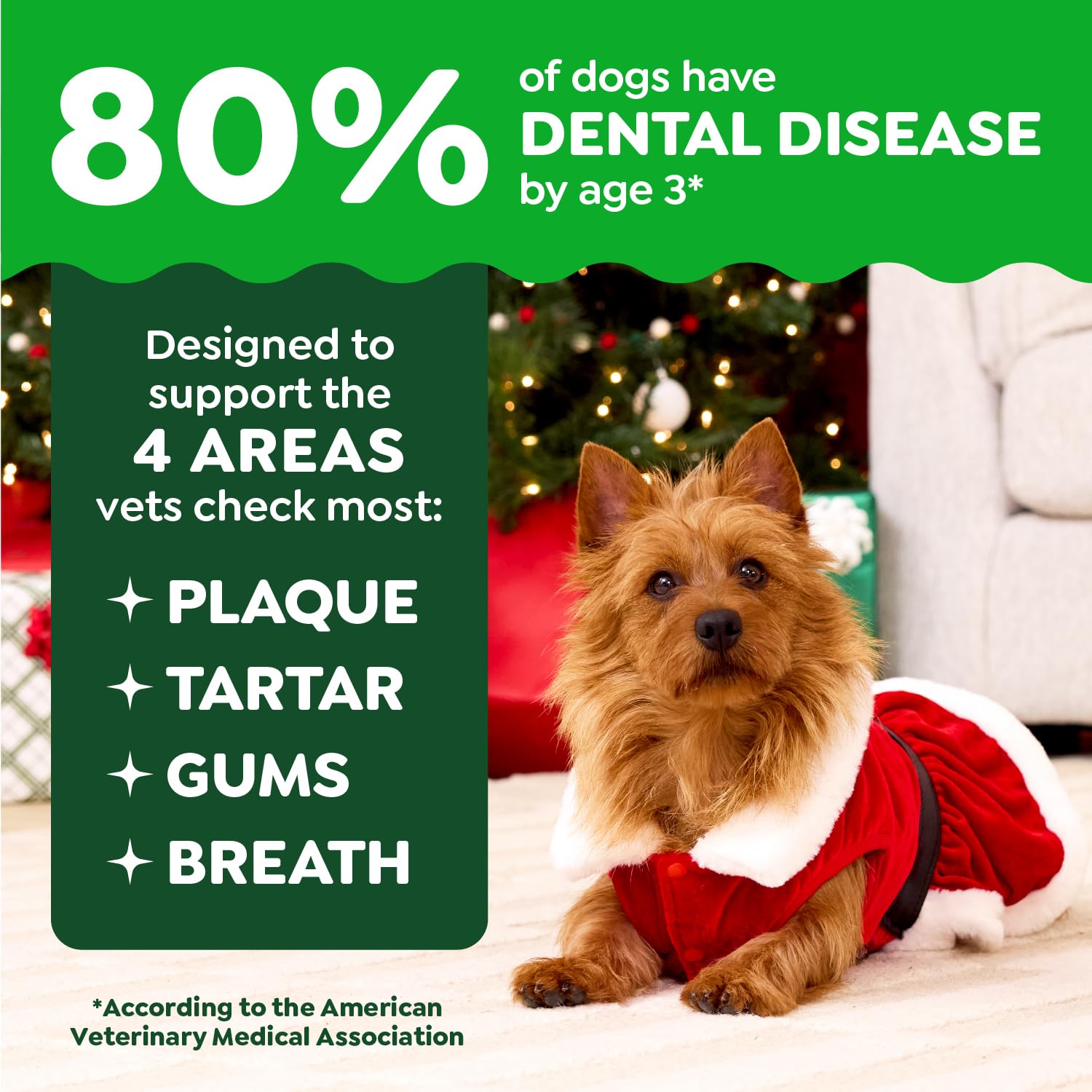 Greenies Large Dental Dog Treats, Gingerbread Flavor, Limited Edition, 12 oz. Pack (8 Treats)