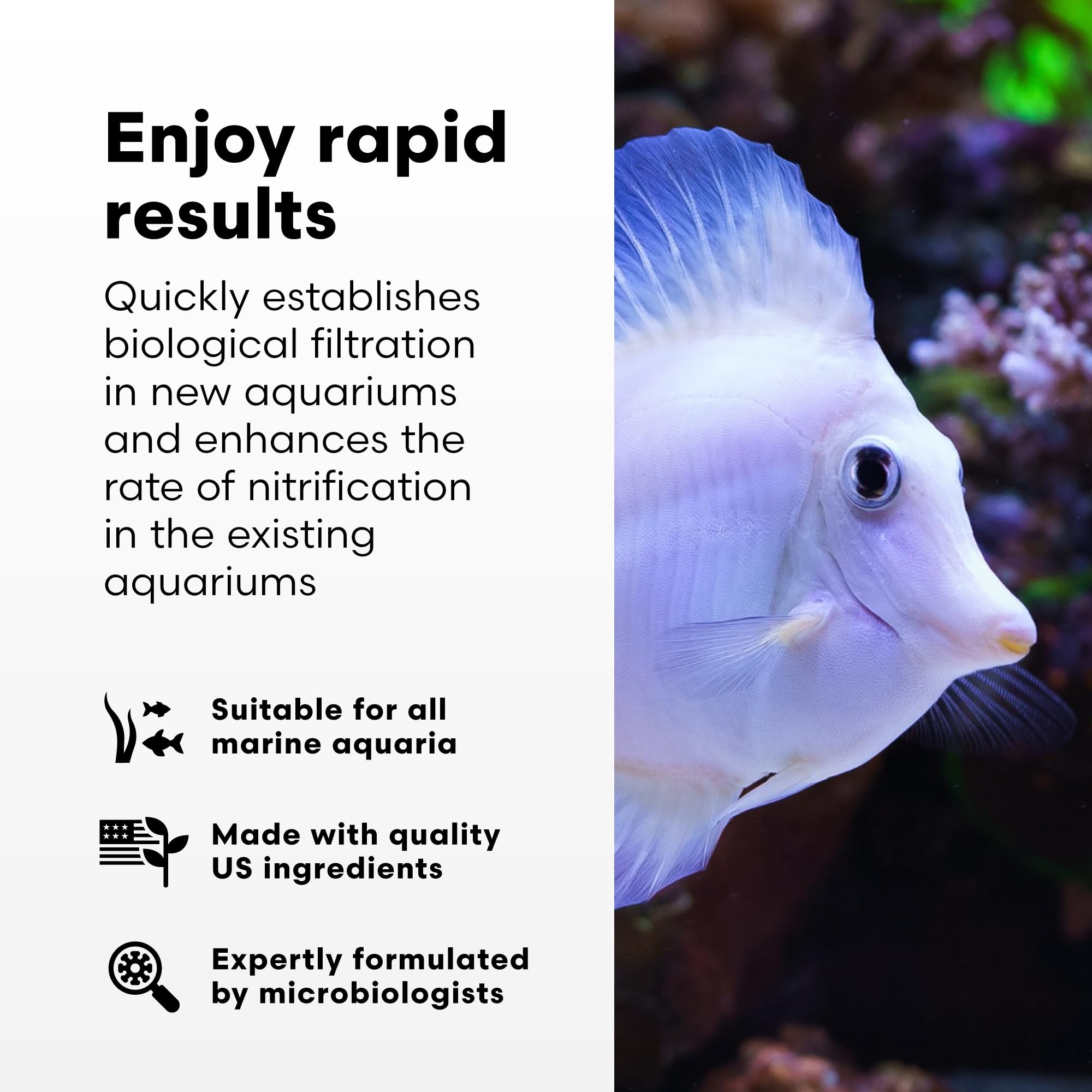 Brightwell Aquatics MicroBacter Start XLM - Concentrated Freshwater Nitrifying Bacteria - Quick Start Fish Tank Starter, Lift Mi