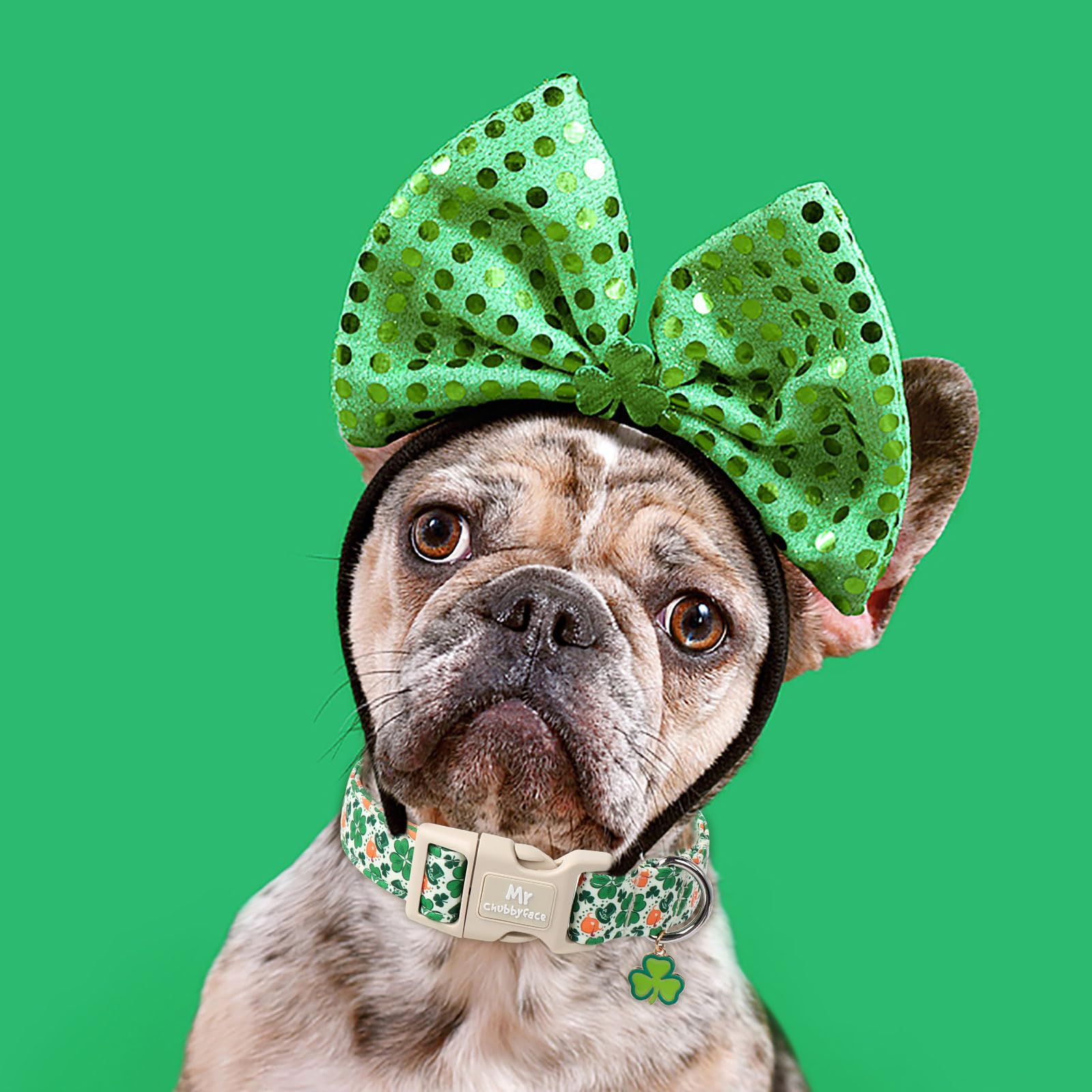 Mr.Chubbyface St. Patrick'S Dog Collar,Green Clover Lucky Shamrock Pet Collar With Quick Release Buckle, Durable Adjustable Spri