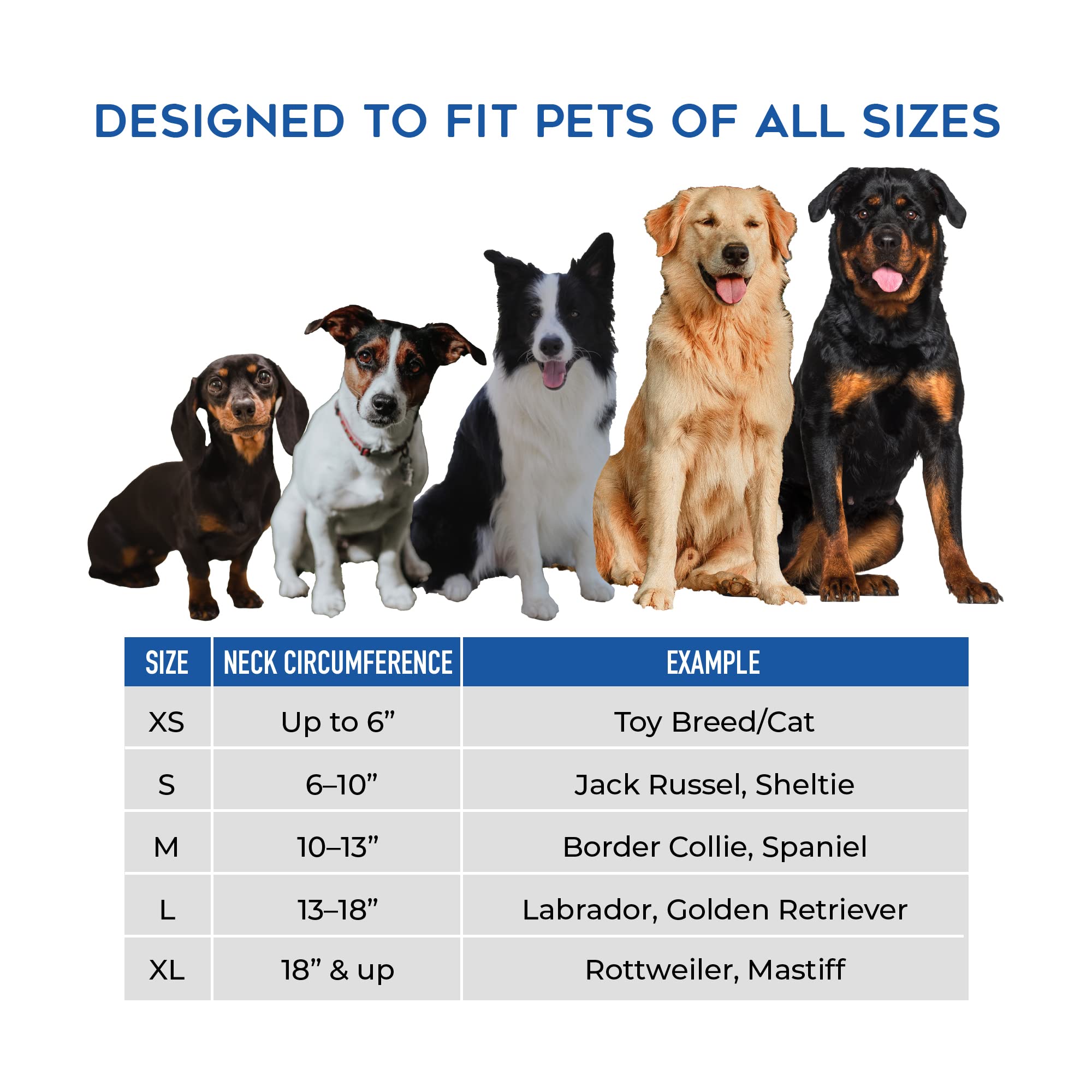 Dogswell Remedy + Recovery Dog First Aid, Inflatable Collar, Large
