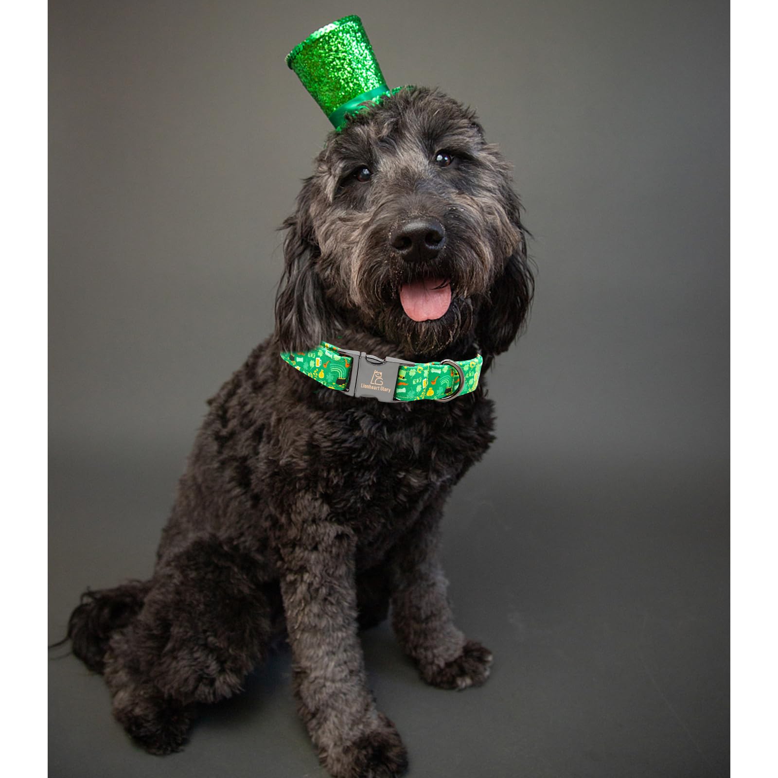 Lionheart Glory St. Patrick Dog Collar, Clover Collars Green Dog Collar For Small Dogs Spring Dog Collar Adjustable Heavy-Duty P