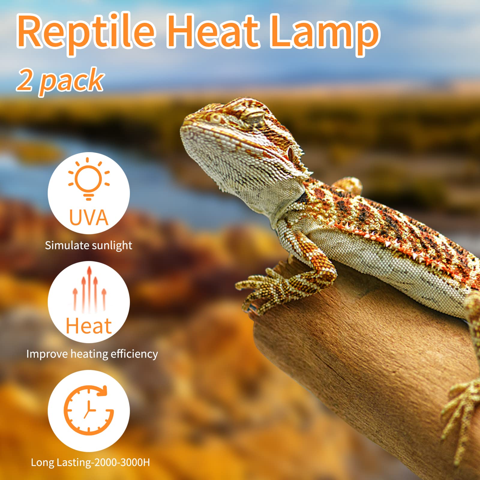 Repti Home Reptile Heat Lamp Bulbs (New Upgraded, Safer, 50W 2 Pack), Reptiles & Amphibians Uva Basking Spot Lamp Bulb, Reptile Daylight Heat Bulb For Bearded Dragon, Lizard, Turtle