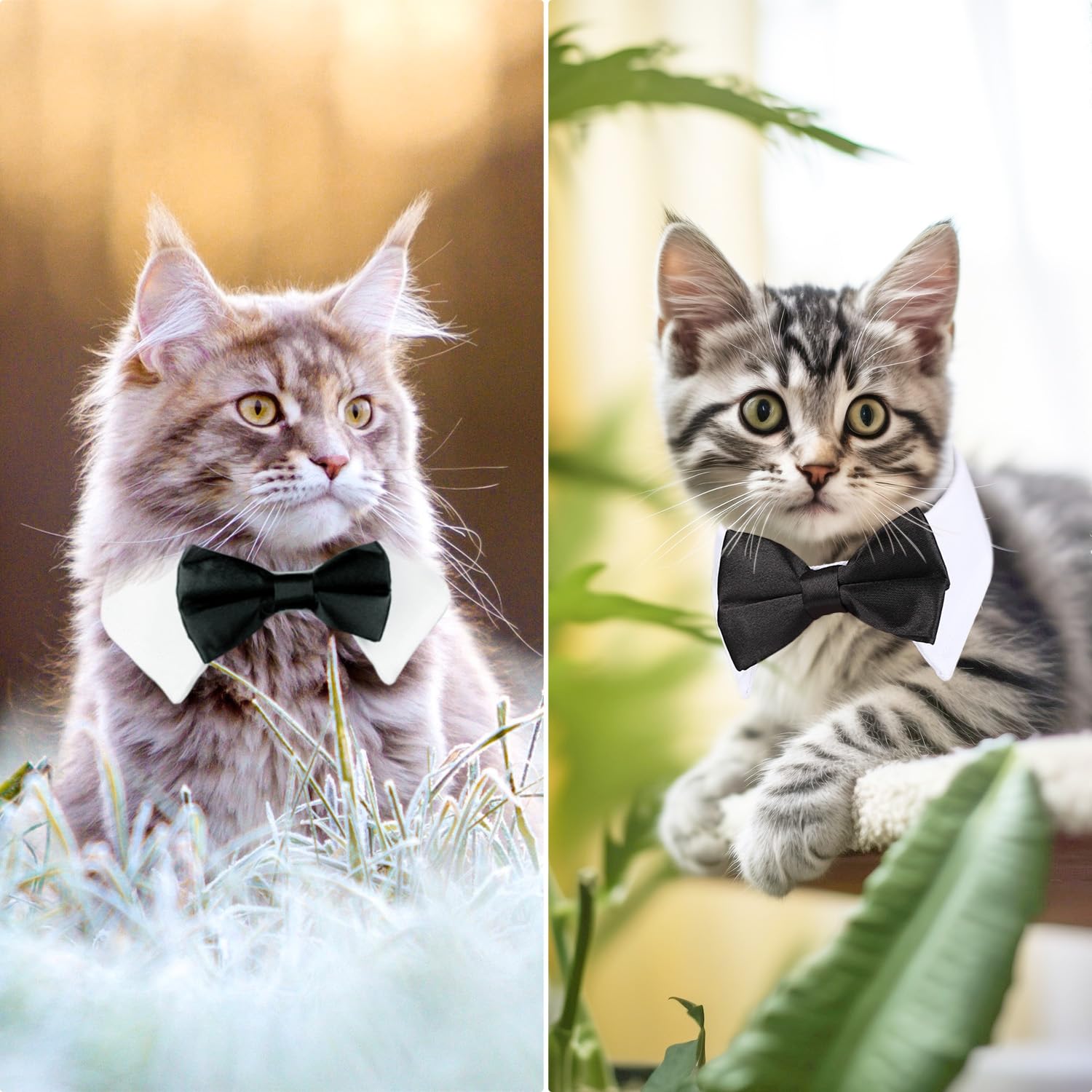 Black Bow Tie Dog Collar, Segarty Cute Tux Dog Bowtie With Handcrafted Adjustable White Collar Formal Pet Cats Puppies Necktie For Small Boy Dog Wedding Birthday Gift
