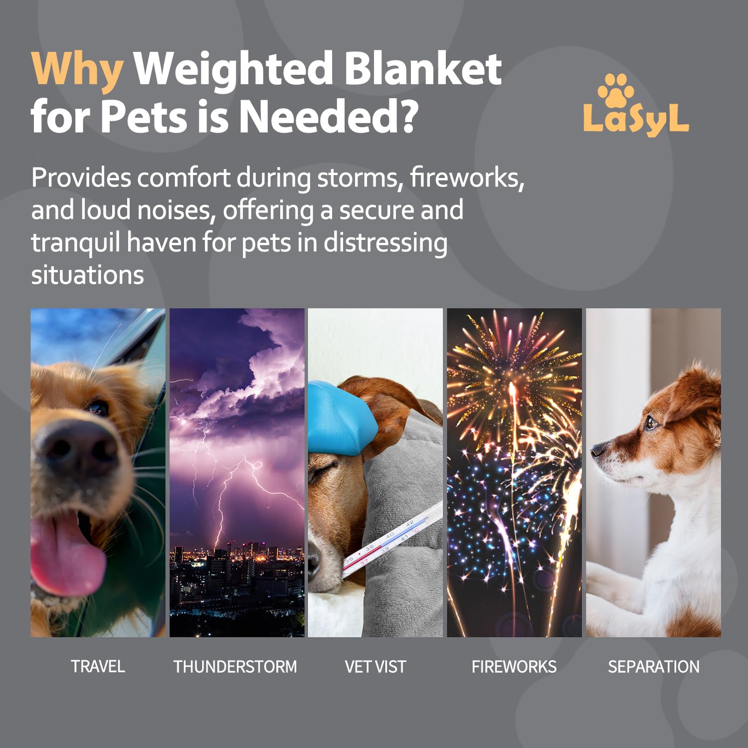 Lasyl Weighted Blanket For Pets | Thunder Blanket For Dogs Anxiety | Premium Soft Minky | Relaxation & Calming & Anti Anxiety |