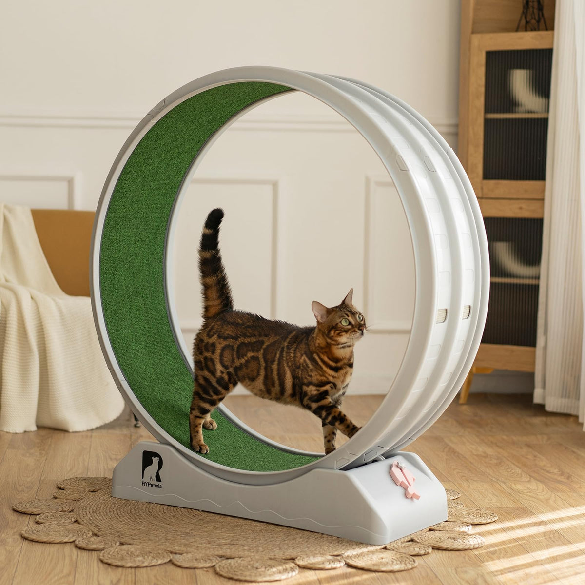 Cat Exercise Wheel, 39.4 Inch Cats Treadmill For Indoor, Cat Running Wheel With Carpeted Runway, Easy To Install & Fitness & Hea