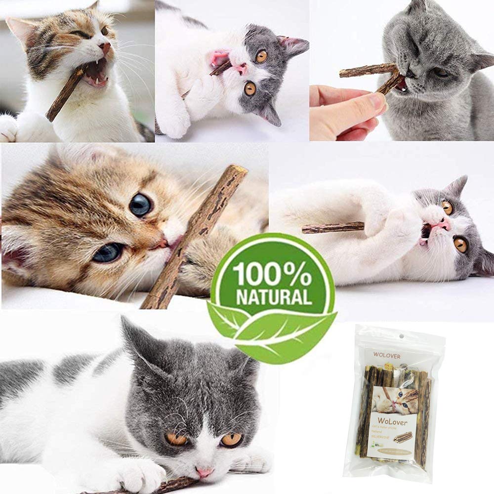 Wolover Silvervine Sticks For Cats, Natural Catnip Sticks Matatabi Chew Sticks Teeth Molar Chew Toys For Cat Kitten Kitty (25 Pc