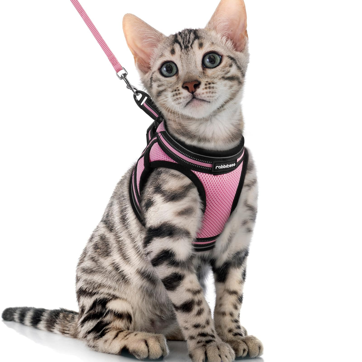 Rabbitgoo Cat Harness And Leash Set For Walking Escape Proof, Adjustable Soft Kittens Vest With Reflective Strip For Cats, Comfortable Outdoor Vest, Pink, Xl