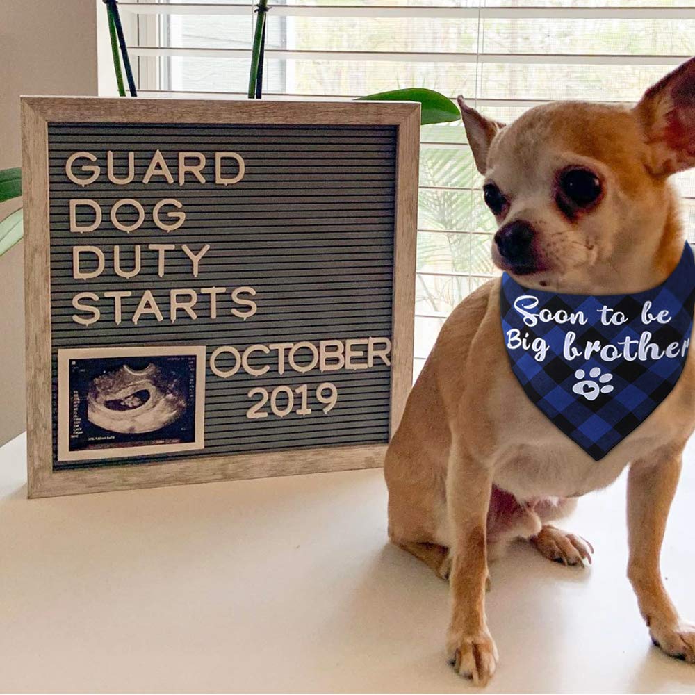 2 Pack Sooner To Be Big Brother Dog Bandana,Pet Baby Announcement Plaid Scarf Gender Reveal Accessories