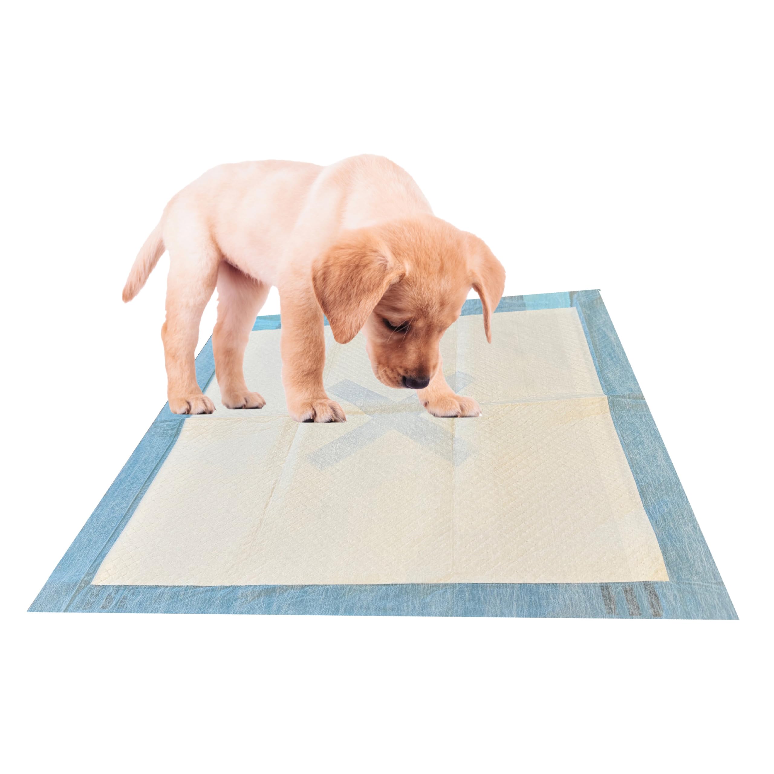 SPOT X Marks The Spot Extra Absorbent Puppy Pads with Adhesive Strips & Pheromones - Attracts Dogs to Center for Training & Pott