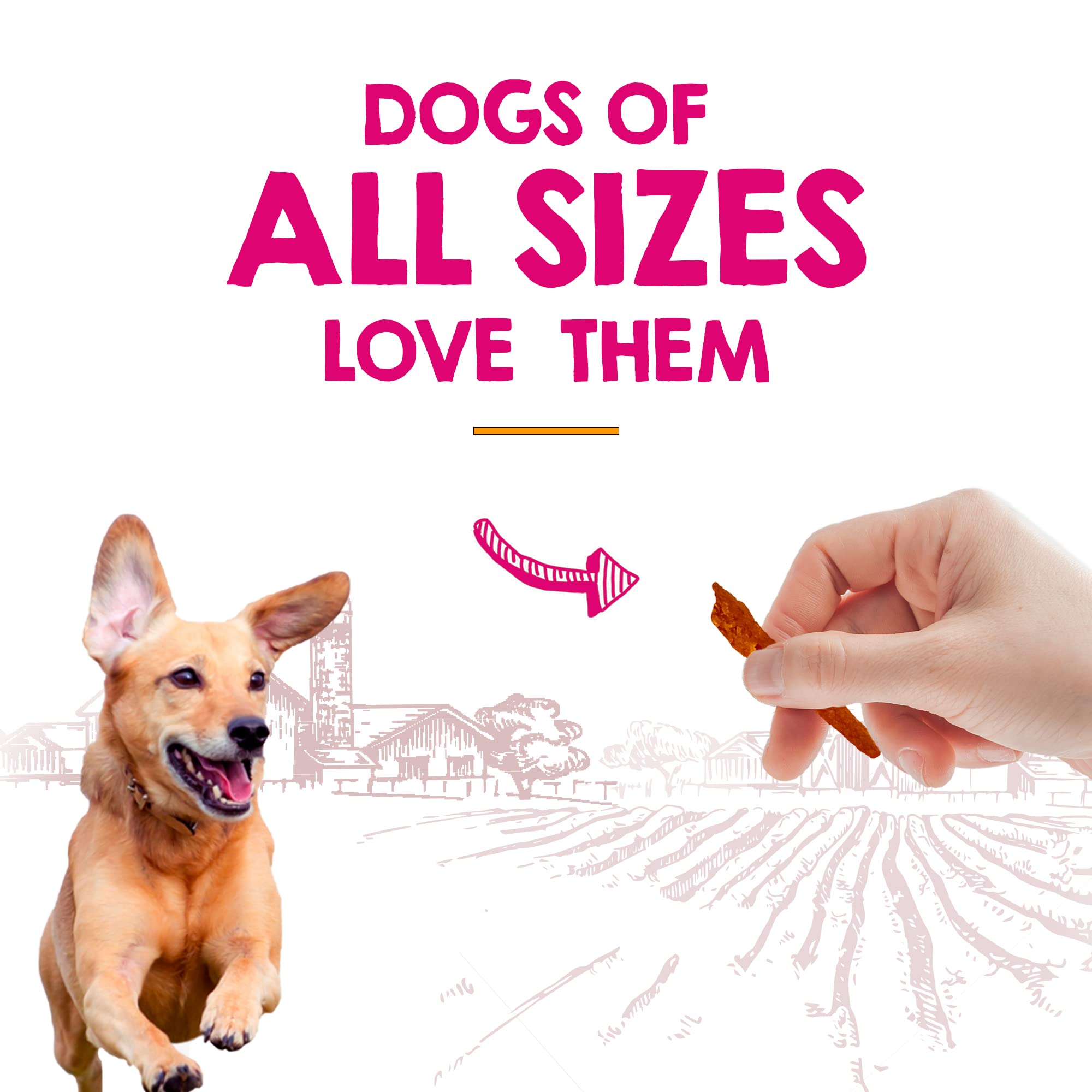 Rileys Slims Dried Sweet Potato Dog Treats - Dehydrated Chews for Dogs - Single Ingredient USA Sourced Made in The USA - 7.5 oz