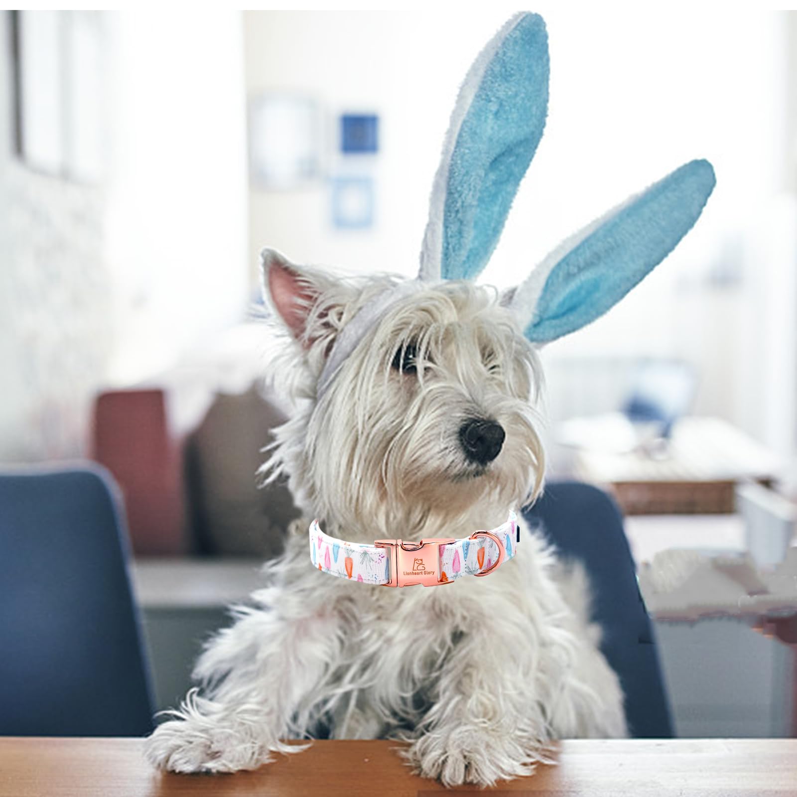 Lionheart Glory Easter Collar Carrot Print Dog Collar For Large Cute Dog Collars Spring Female Or Male Pet Gift Adjustable Heavy