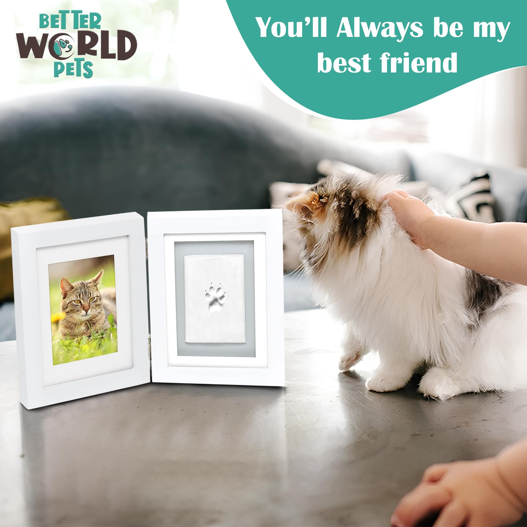 Better World Pets Paw Print + Photo Keepsake Frame Holds 4 X 6 Inch Or 5 X 7 Picture – Memorial Clay Imprint Kit – For Dogs And Cats – Perfect For Pet Lovers – Hinged For Desktop, White