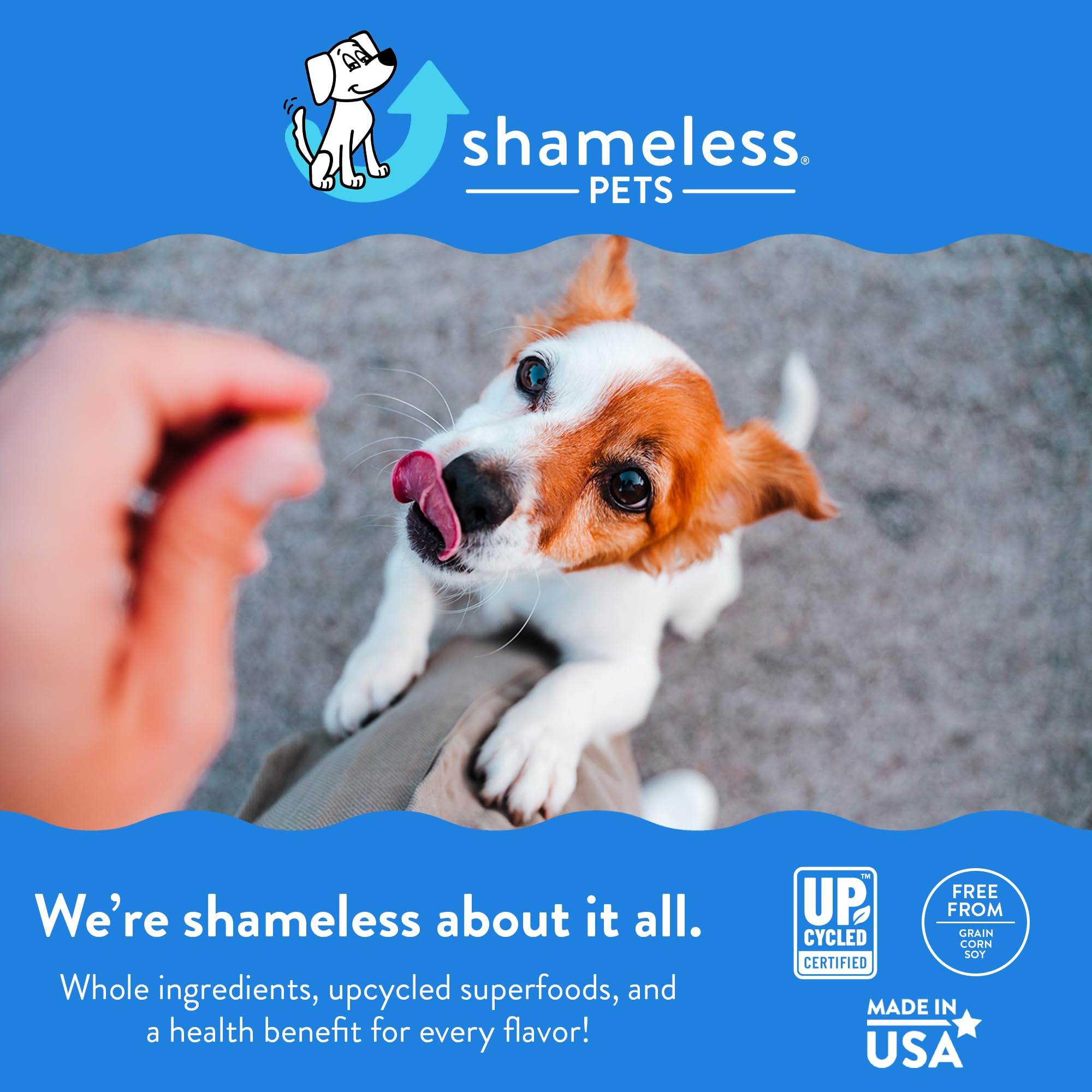 Shameless Pets Soft-Baked Dog Treats, Blueberried Treasure - Natural & Healthy Dog Chews with Mint for Immune Support - Dog Bisc