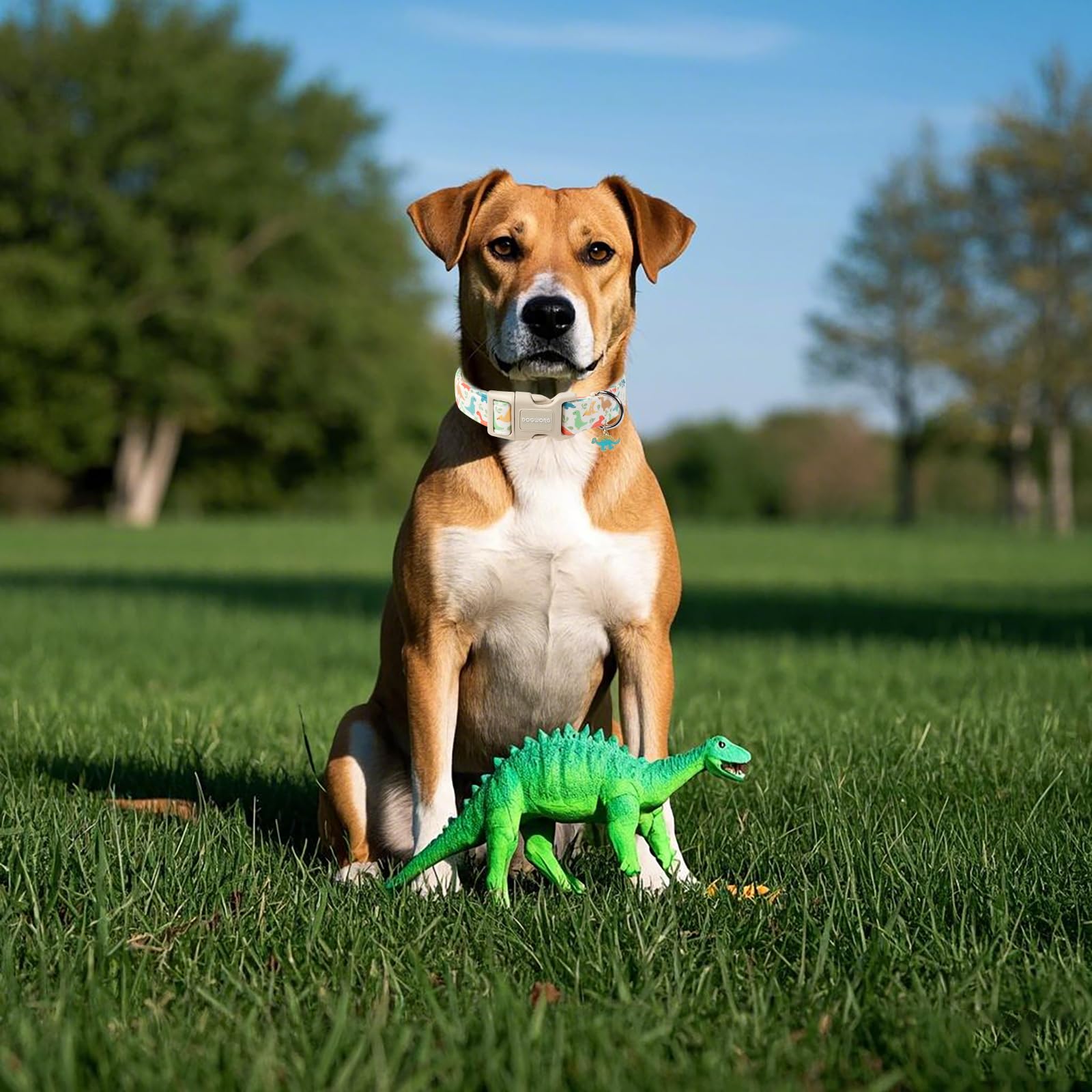 Dogwong Dinosaur Cotton Dog Collar, Summer Cute Dog Collar Durable Soft Fabric Male Pet Dog Collars Boy Puppy Necklace For Small
