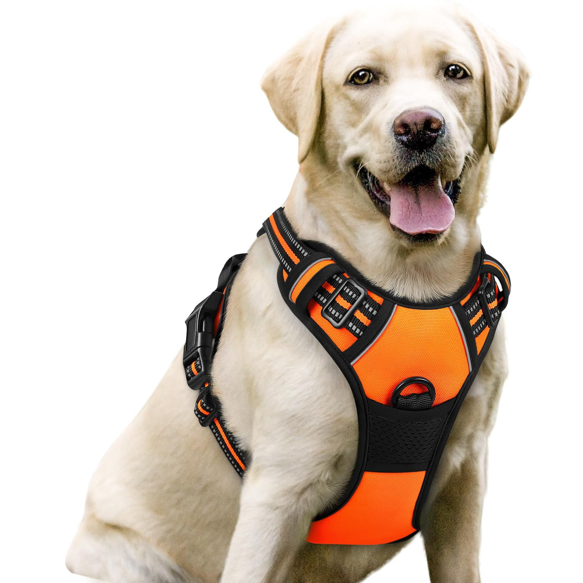 Rabbitgoo Dog Harness No Pull With 2 Leash Clips, Adjustable Soft Padded, Reflective Oxford No Choke Pet Vest With Easy Control Handle For Large Dogs,Orange,L