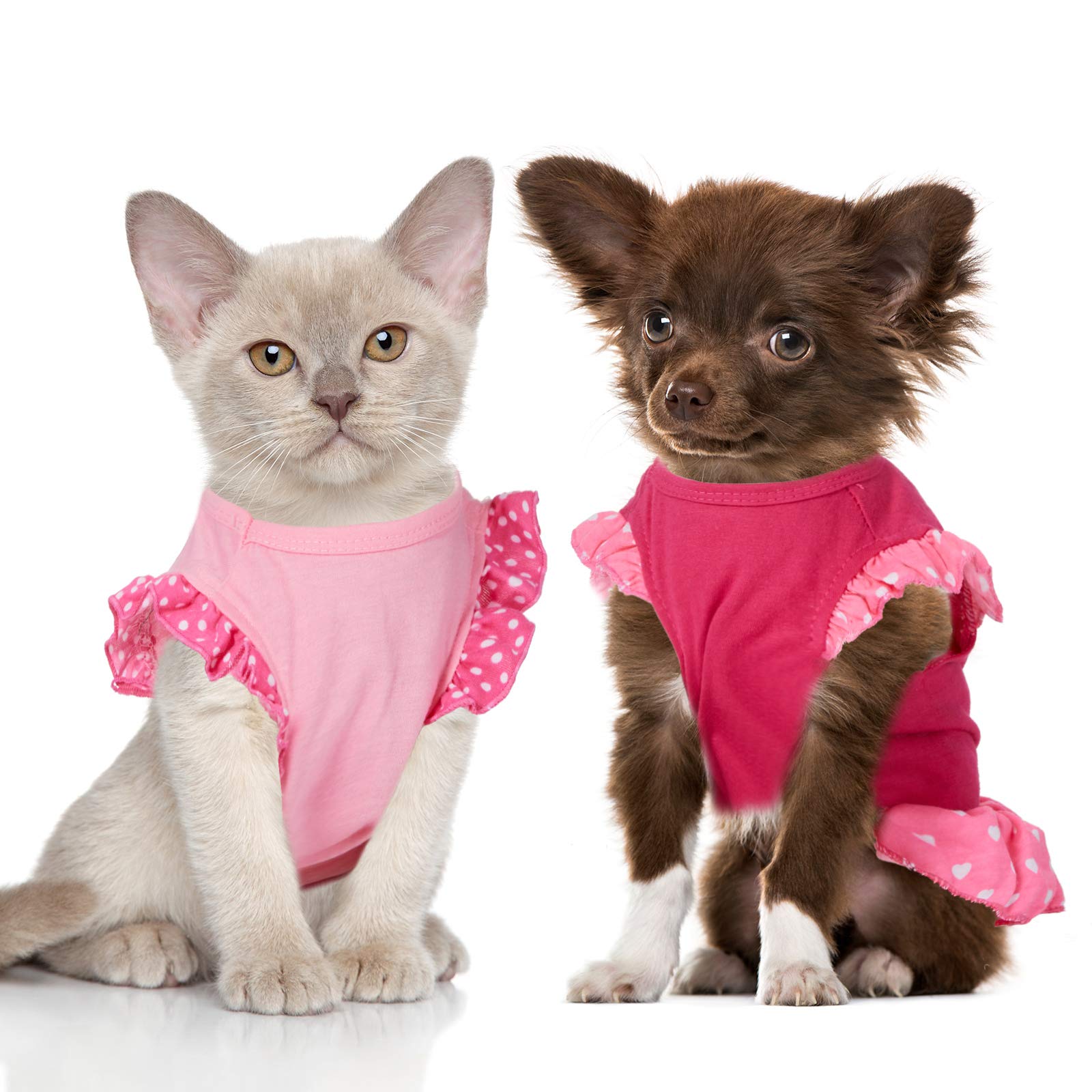 2 Pieces Dog Dresses For Small Dogs Cute Girl Female Dog Dress Mommy Puppy Shirt Skirt Doggie Dresses Pet Summer Clothes Apparel For Dogs And Cats (Love And Angel,Large)