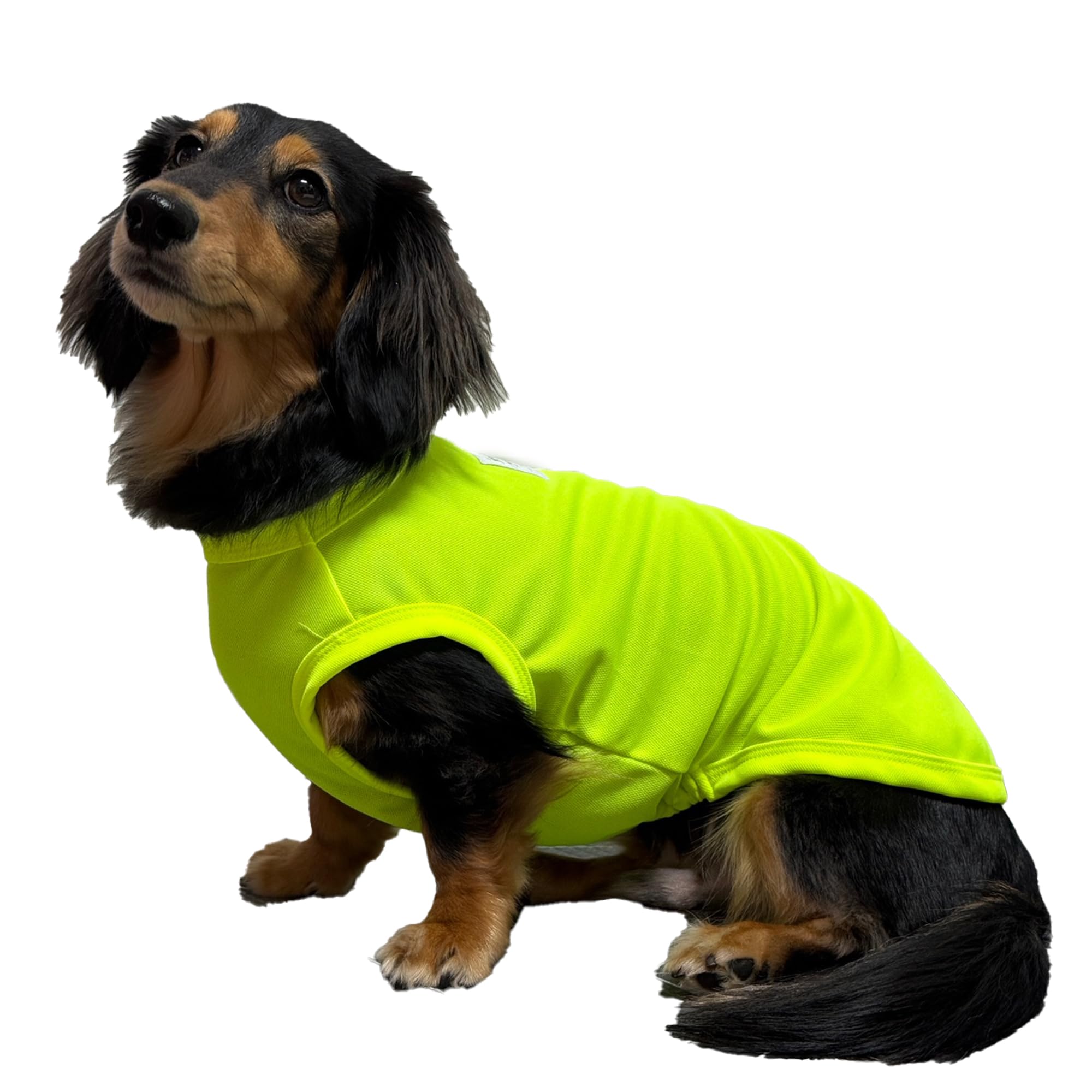 D Doggy Star Dachshund Clothes For Dogs Mini And Adults Neon T Shirts (M,Neon Yellow)