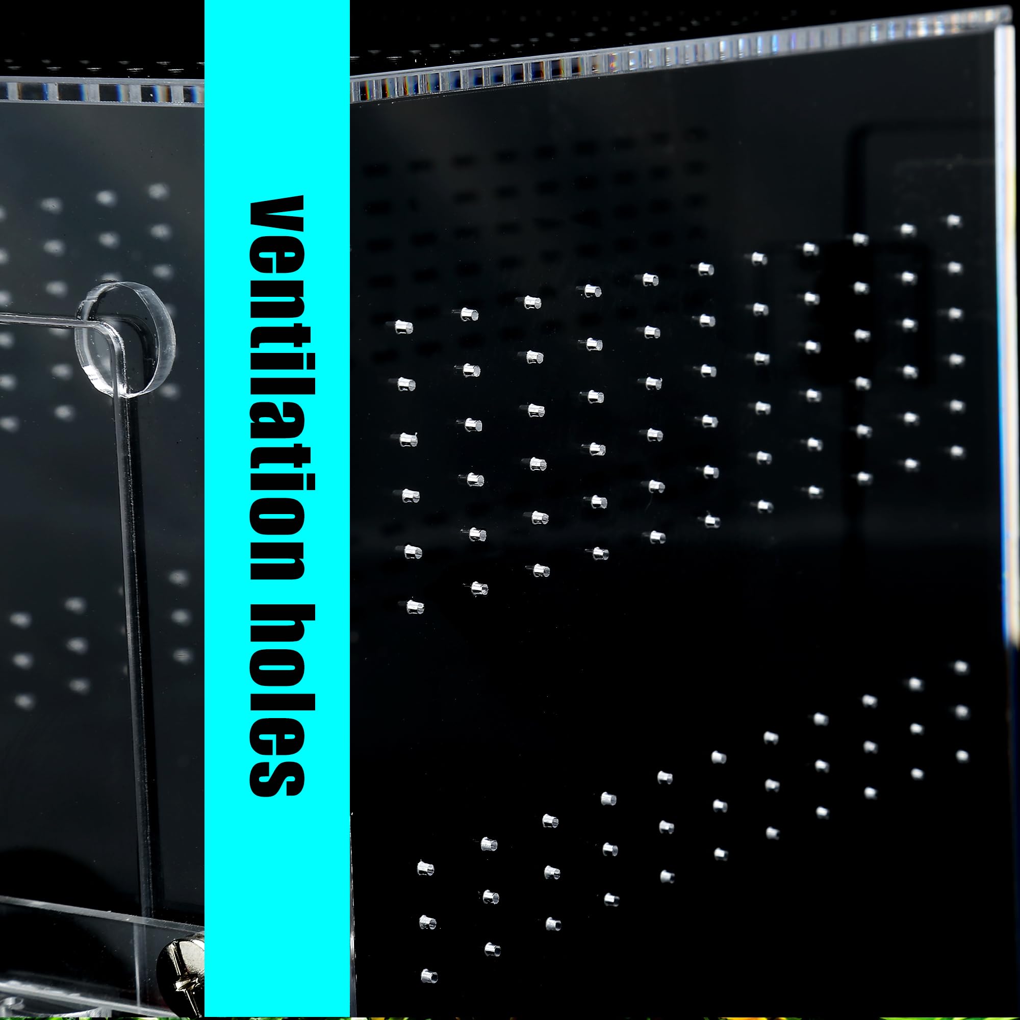 Acrylic Tarantula Enclosure Jumping Spider Enclosure With Front Opening Door5.3 * 5.3 * 9 Inches Micro Habitat Terrarium For Sma