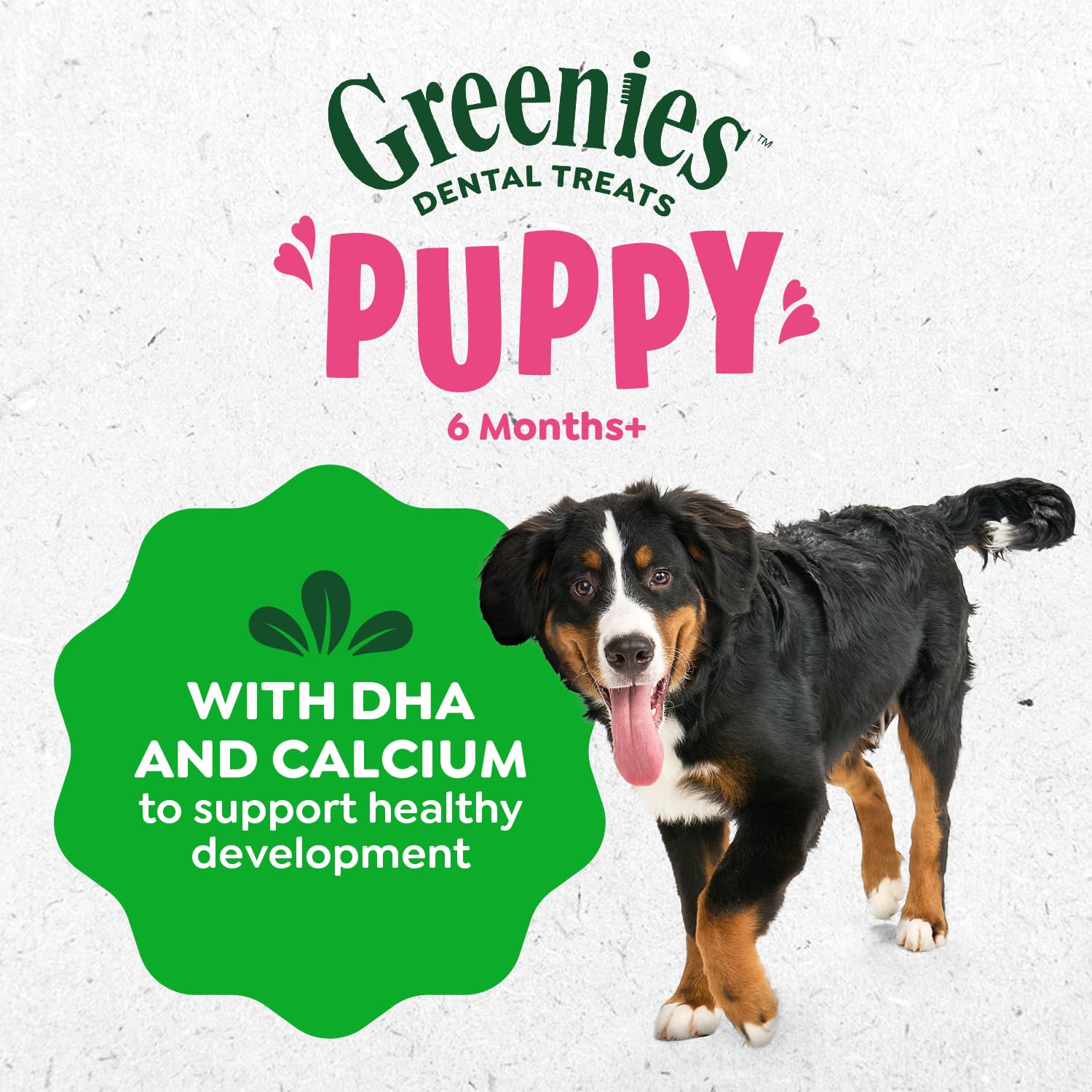 Greenies Puppy Teenie Size Dental Dog Treats, 6 oz. Pack (22 Treats)