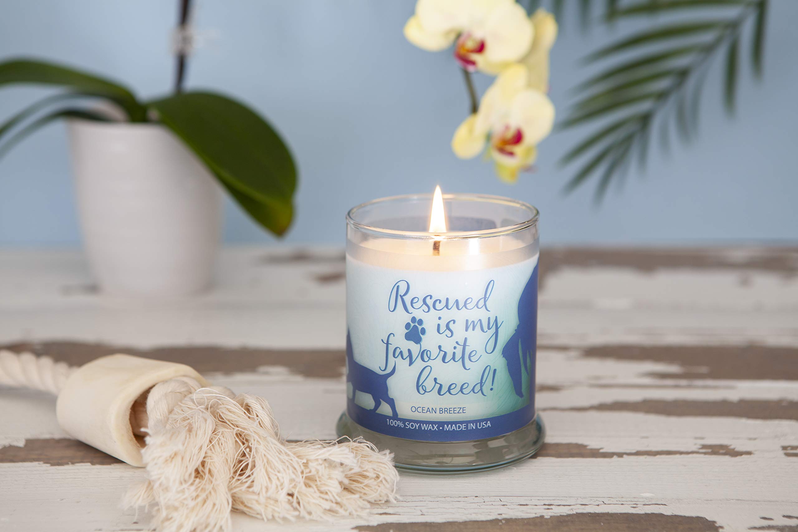 One Fur All Pet Lovers Candle - Ocean Breeze - Pet Odor Eliminator - Non-Toxic - Eco-Friendly