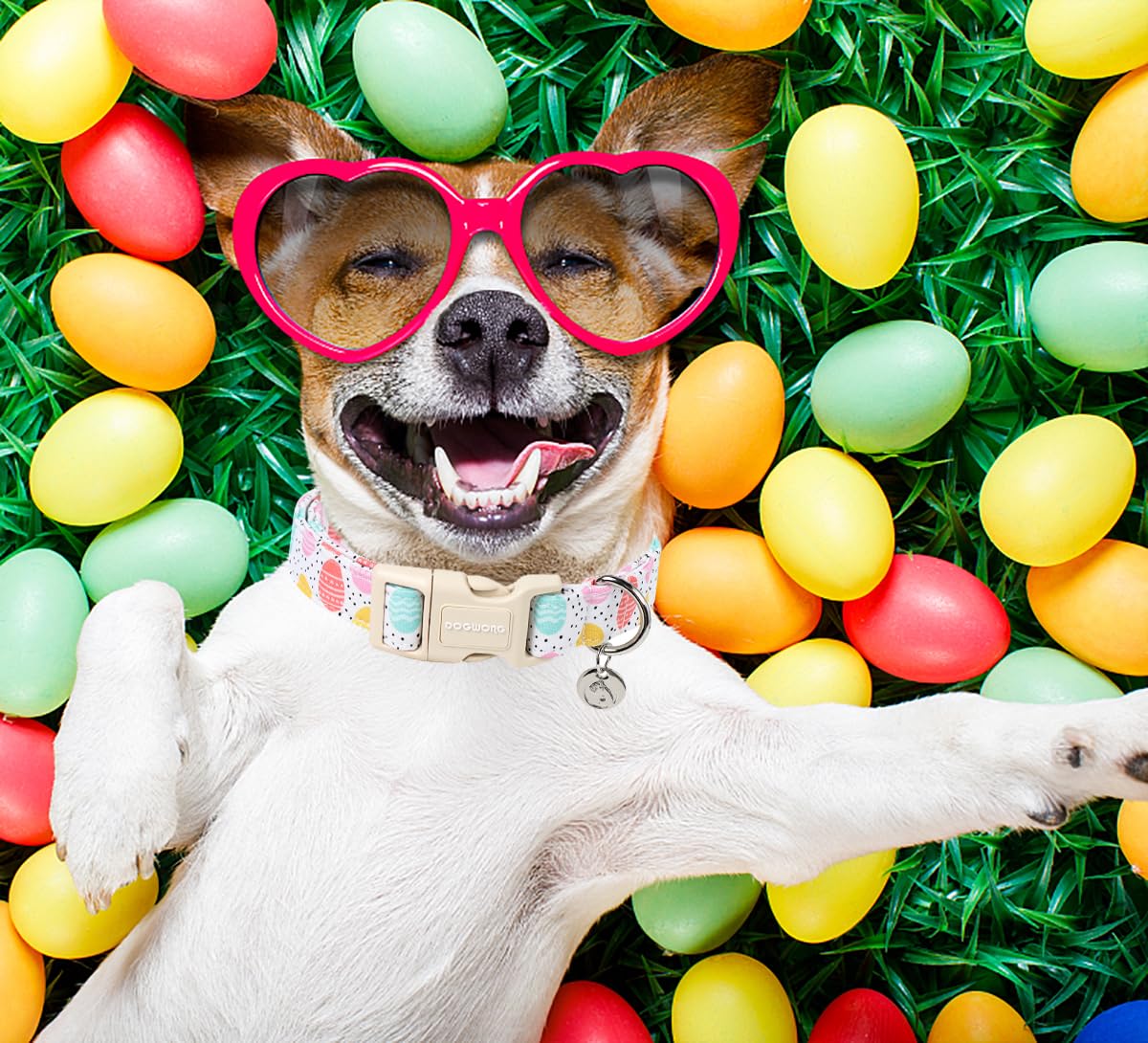 Dogwong Easter Dog Collar, Colorful Egg Dog Collar Soft Durable Adjustable Costume Cute Easter Puppy Collar For Small Medium Lar