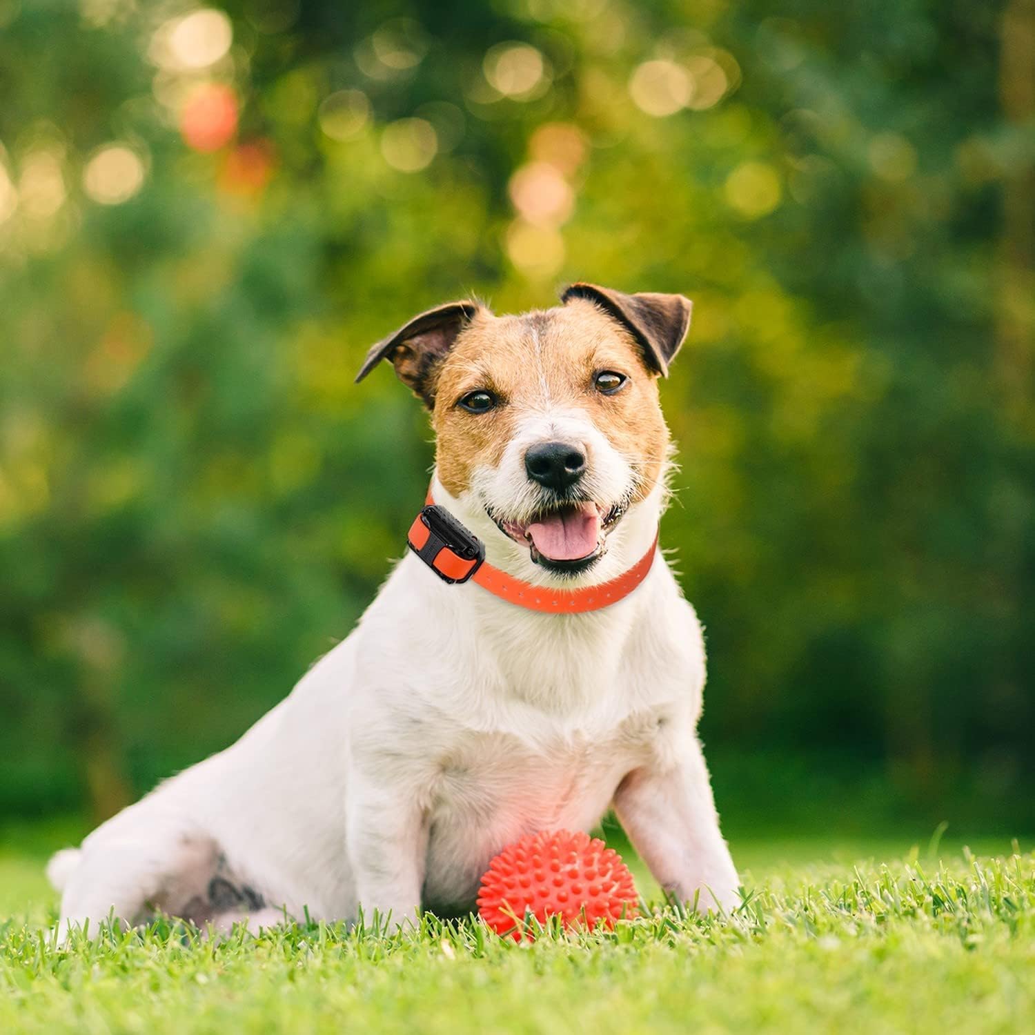 Educator CPAD-005 Dog Training Collar Receiver Comfort Pad, Improves Contact, Reduces Irritation and Skin Sensitivities, for Bar