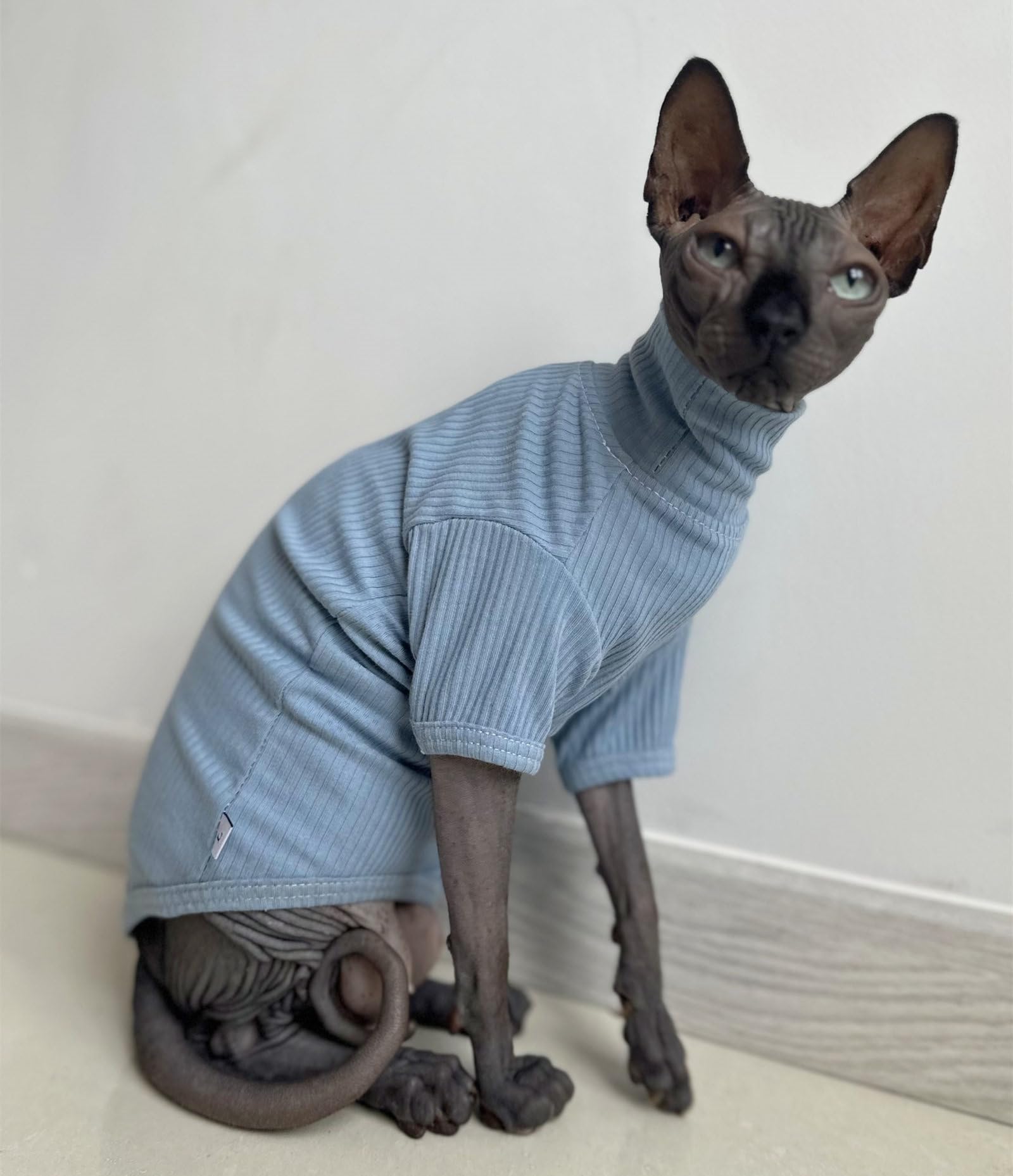 Sphynx Hairless Cats Shirt Cotton Cat Turtleneck Sweater Pullover Kitten T-Shirts With Sleeves Cat Pajamas Jumpsuit For Sphynx Cornish Rex, Devon Rex, Peterbald (Small (Pack Of 1), Sky Blue)