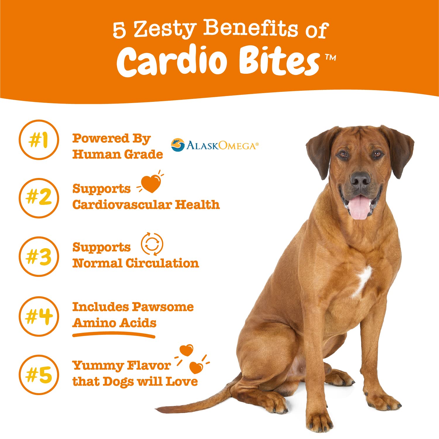 Zesty Paws Cardiovascular Soft Chews For Dogs - With Antioxidants And Alaskomega Fish Oil With Omega 3 Fatty Acids - Plus Coq10,
