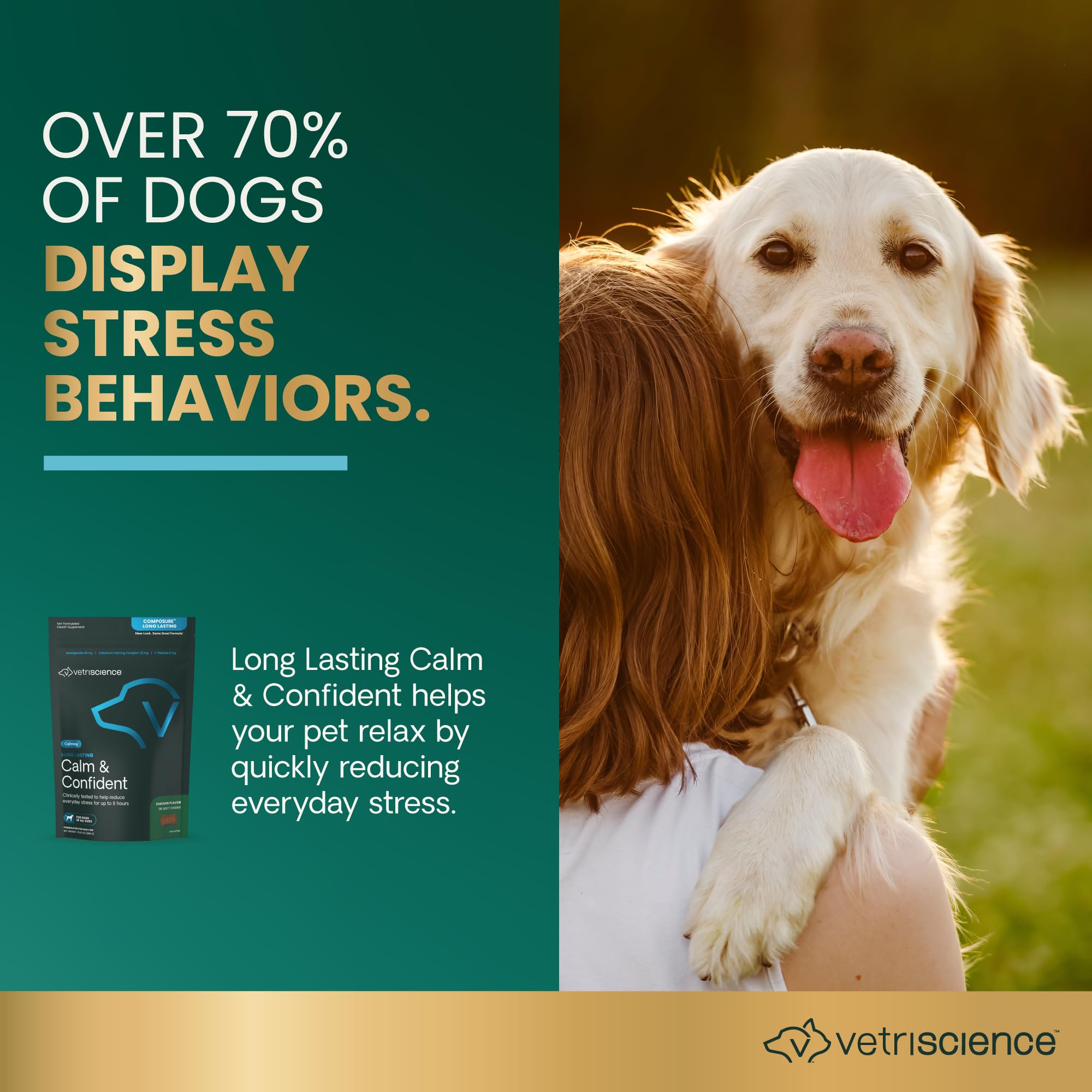 VetriScience Long Lasting Calm & Confident Calming Chews for Dogs, Supplement for Stress Support, Thunderstorms, Fireworks, & Tr