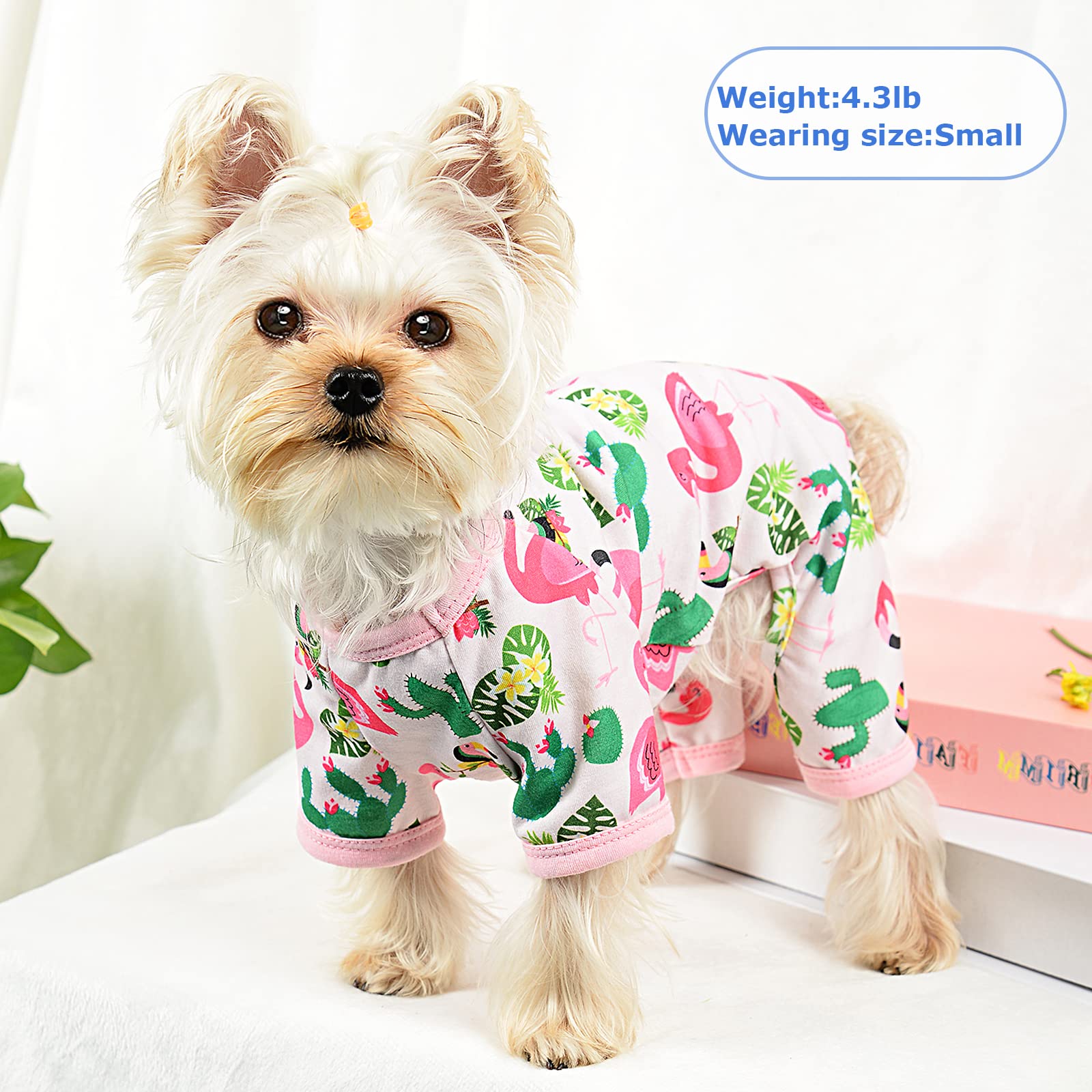 Dog Pajamas Pjs Dog Clothes for Small Dogs Girl Cute Soft Puppy Clothes Stretchable Dog Apparel Onesies for Chihuahua Yorkie Tea
