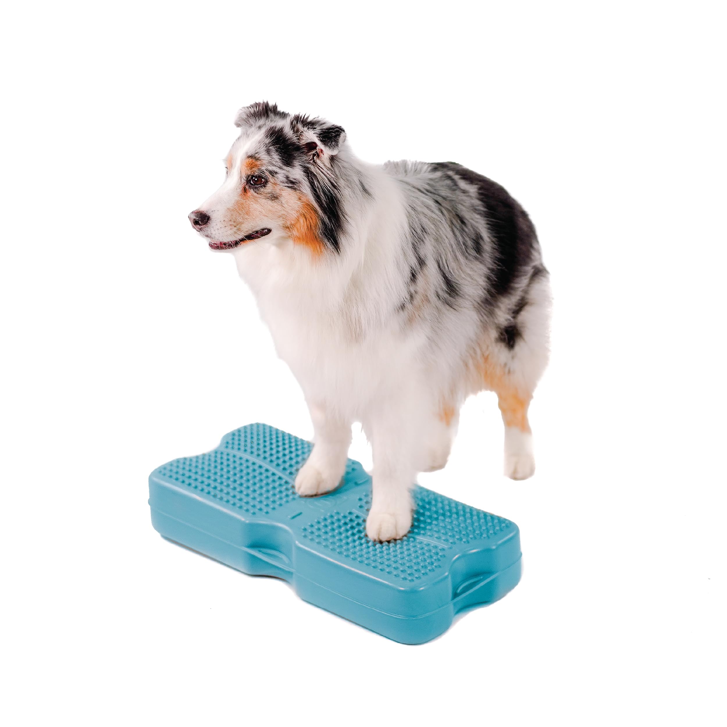 Blue-9 Propel Air Platform Kit, Professionally Designed Dog Training Accessories And Pet Products, Made In The Usa, Turquoise