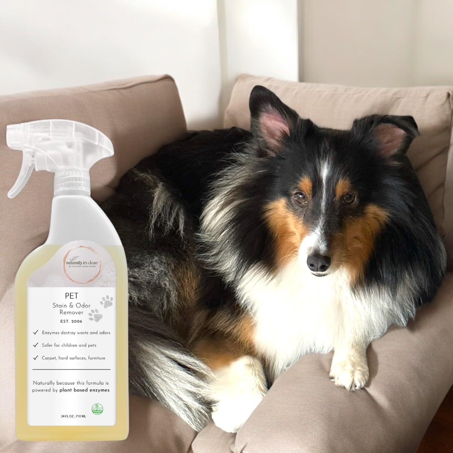 Naturally It'S Clean Enzyme Pet Stain & Odor Remover | Plant-Based Cleaner For Dog Poop, Cat Urine, Vomit & More | Powerful Odor