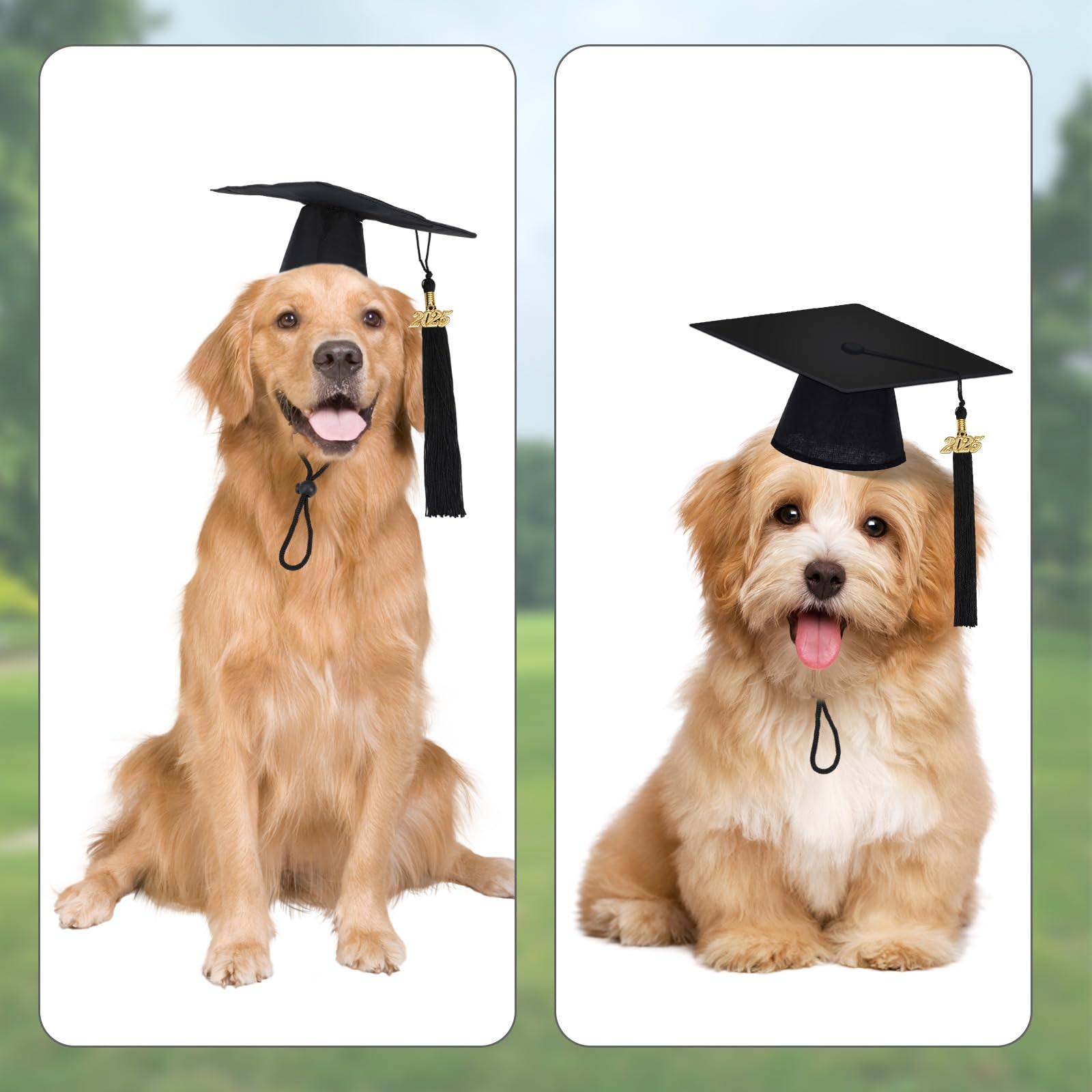 Augsun Dog Graduation Cap And Bandana, Graduation Dog Cap With 2025 Tassels Dog Graduation Outfits Pet Graduation Bandana For Sm