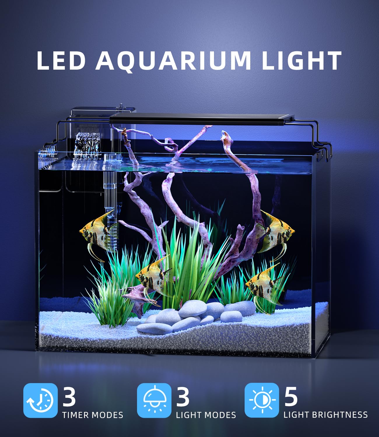 5 Gallon Fish Tank Aquarium Kit with Filter, LED Light with Timer, Siphon Vacuum Cleaner, Lid, Self-Cleaning Glass Rimless Betta